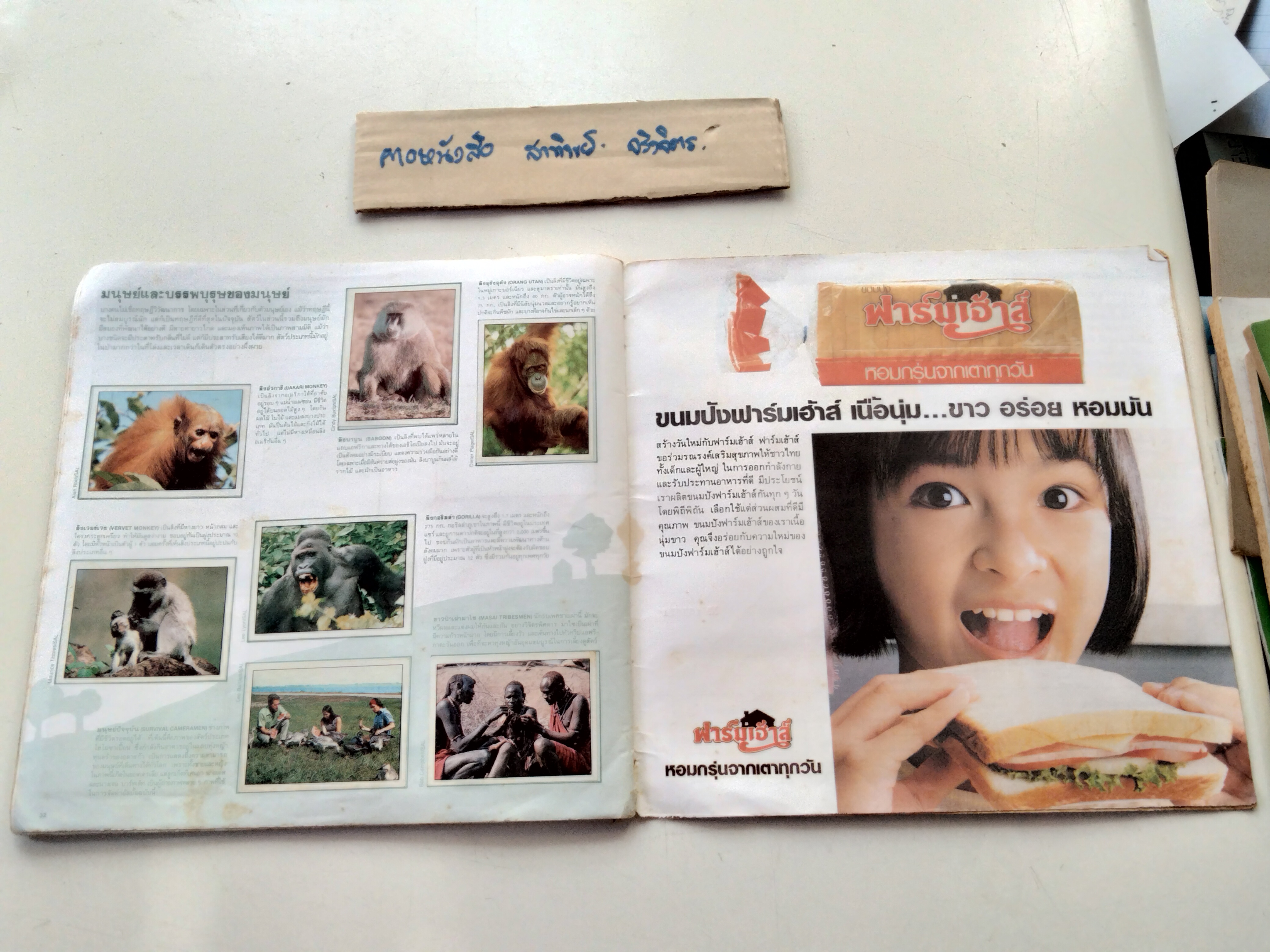 สมุดสะสมสติกเกอร์ ชีวิตสัตว์โลก (แปะครบ 240 รูป) หนังสือมือสอง สภาพพอใช้ **สินค้าหมด**