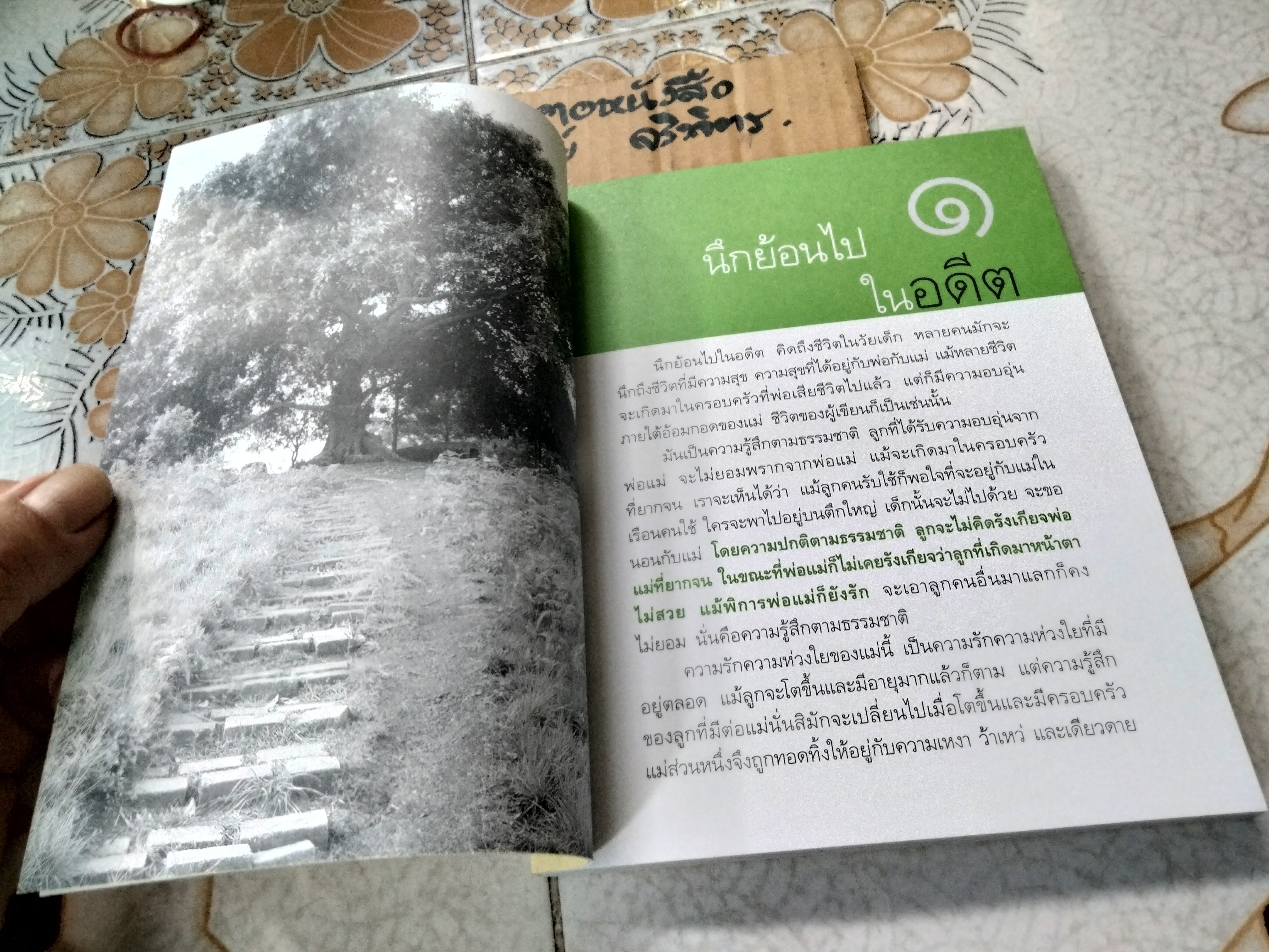 เขียนไว้เมื่อเริ่มเป็นไม้ใกล้ฝั่ง โดย แสวง บุญเฉลิมวิภาส