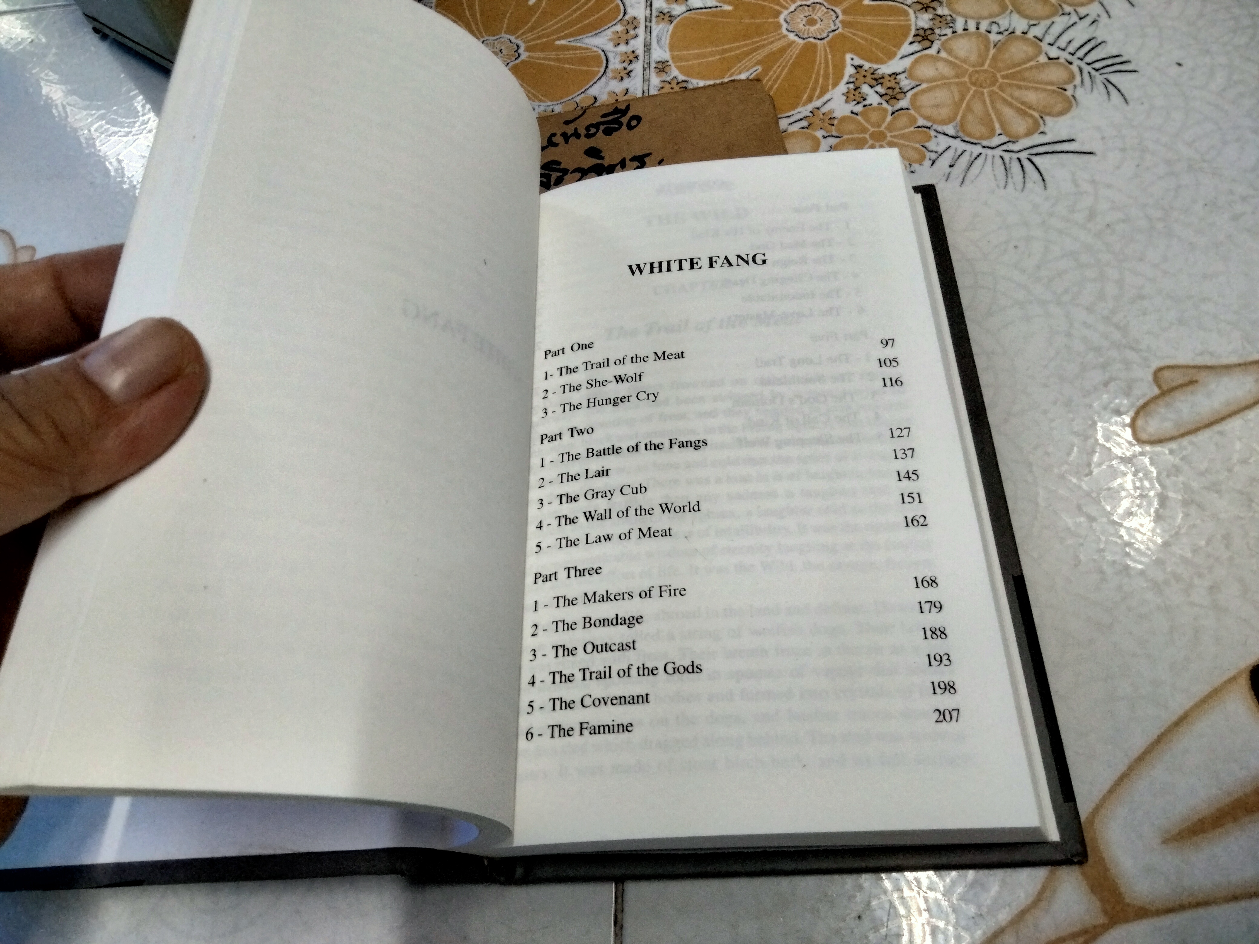 Call of the Wild & White Fang by Jack London . vivi books 2004 ,