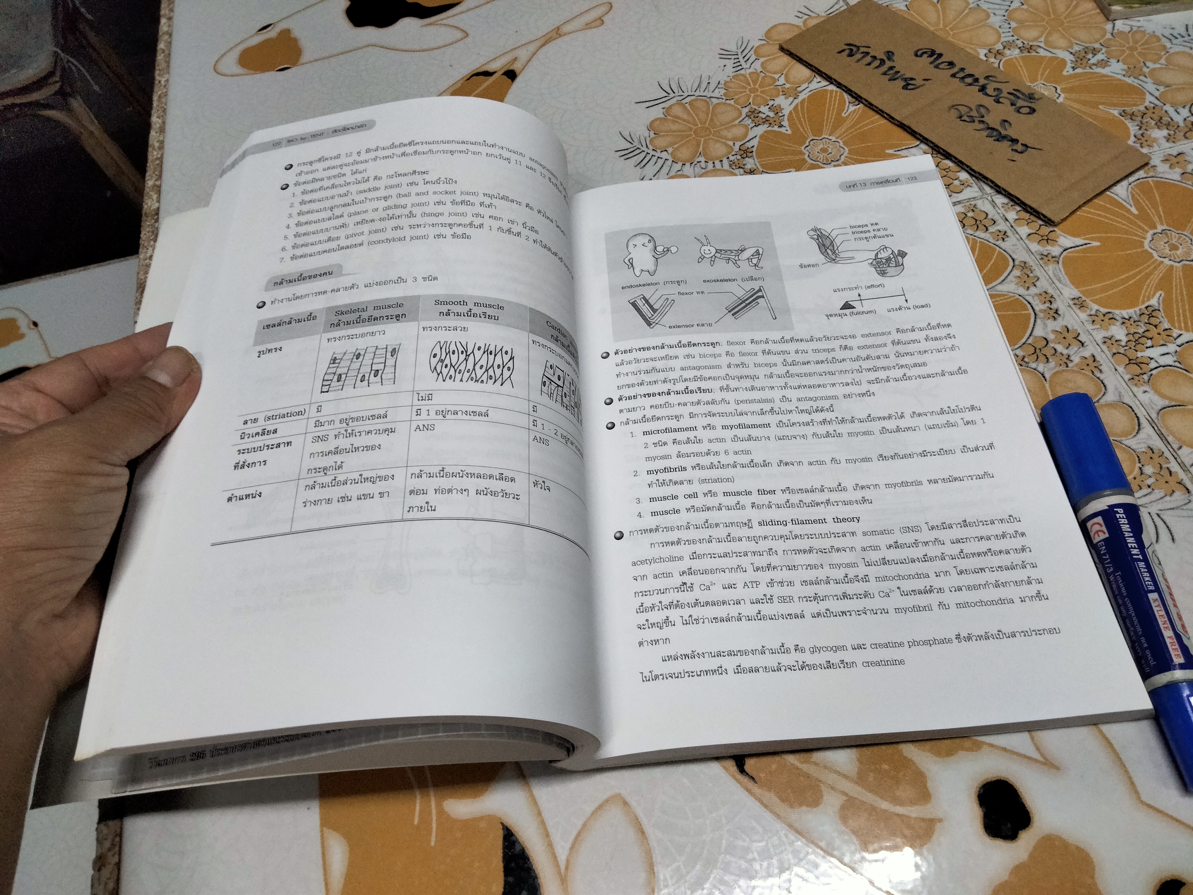 หนังสือชีววิทยา ปกเต่าทอง - จิรัสย์ เจนพาณิชย์ พิมพ์ครั้งที่ 14/2554 **สินค้าหมด**