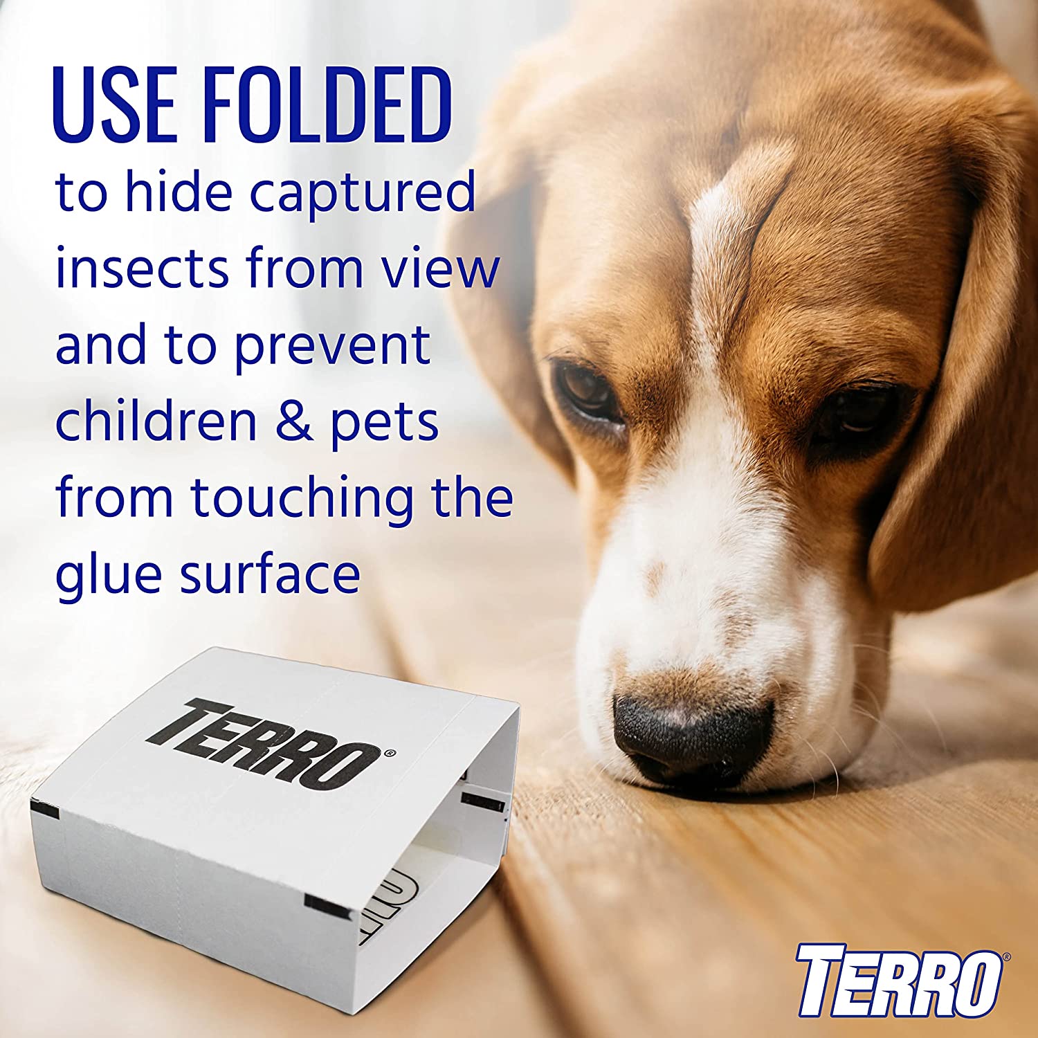 TERRO® 10.16 cm x 25.4 cm Spider & Insect Traps 4 Glue Traps Model T3206 กับดักแมงมุม และแมลง ขนาด