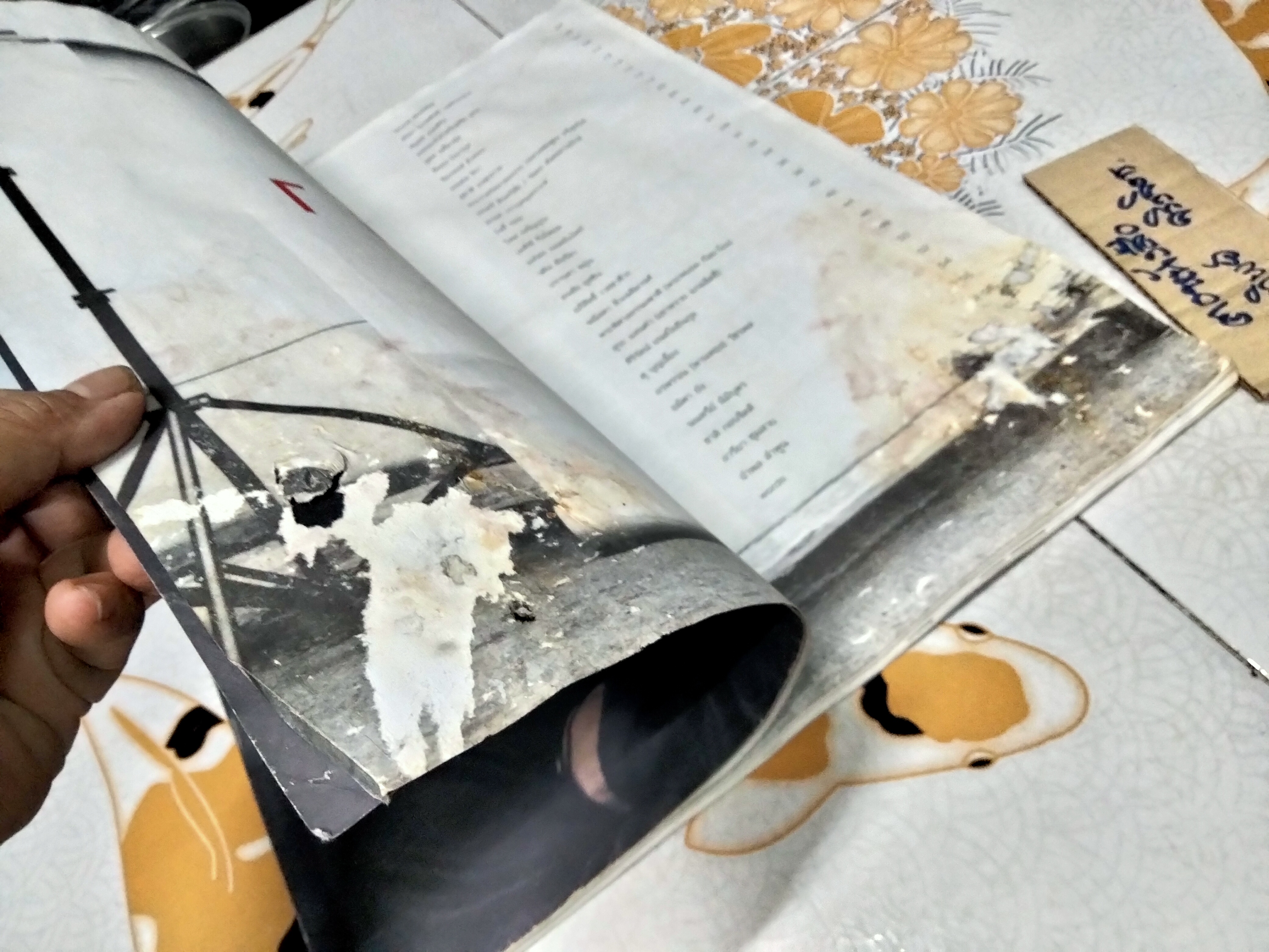 นิตยสาร a day special ฉบับ idols หน้าปก เบิร์ด ธงไชย (ตำหนิ หนังสือโดนน้ำ มีคราบรา)