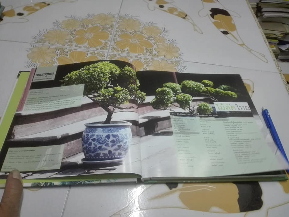 ไม้ดัดไทย (ปกแข็ง) โดย บัญชา เขมธร - ภูวดล น้ำดอกไม้ **สินค้าหมด**