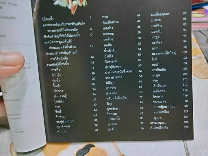 ไม้ทนน้ำ - คู่มือคนรักต้นไม้ชุดที่ 6 โดย อุไร จิรมงคลการ