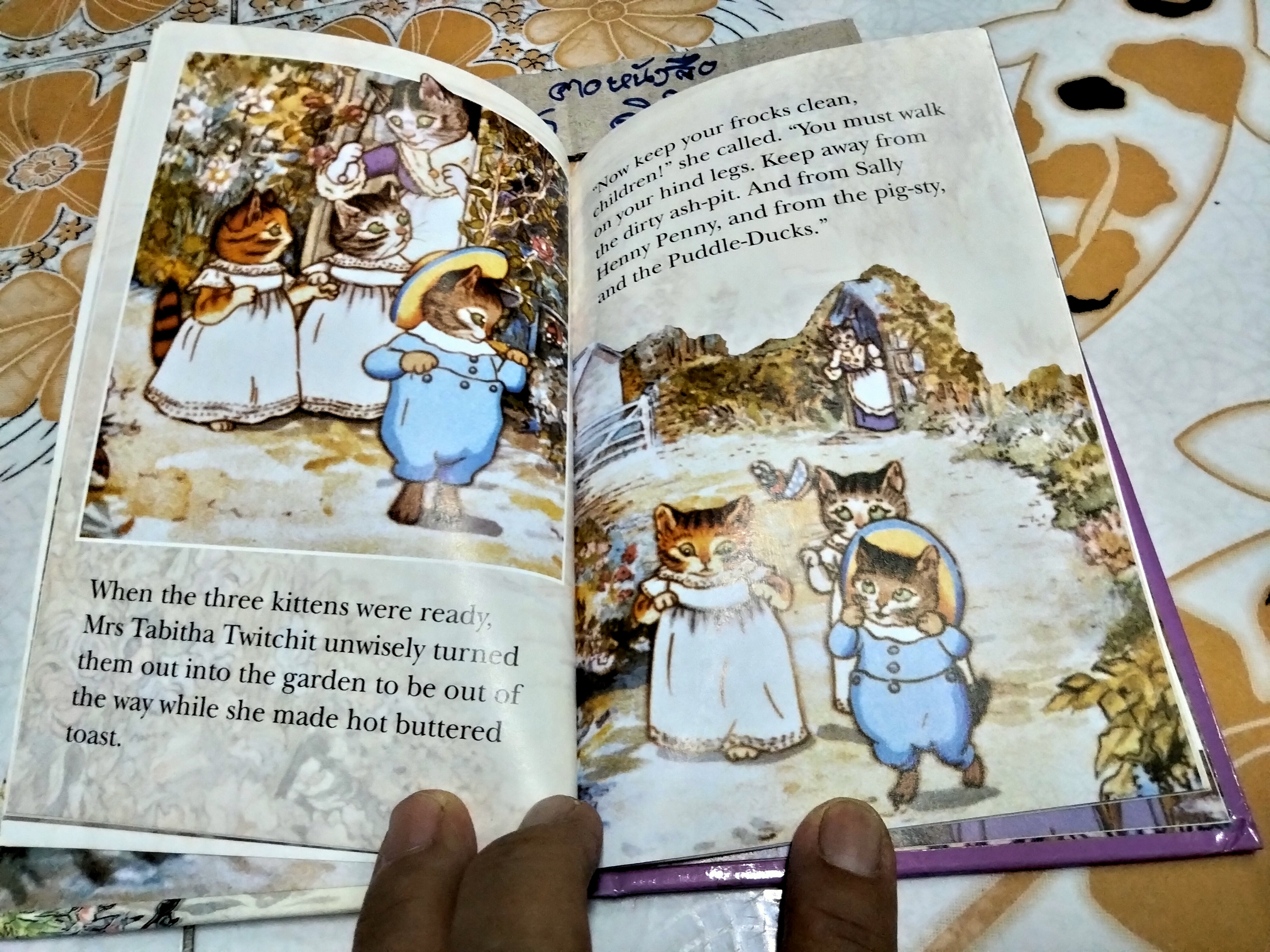 Tom Kitten, Peter Rabbit and Friends, Ladybird Books Ltd.,