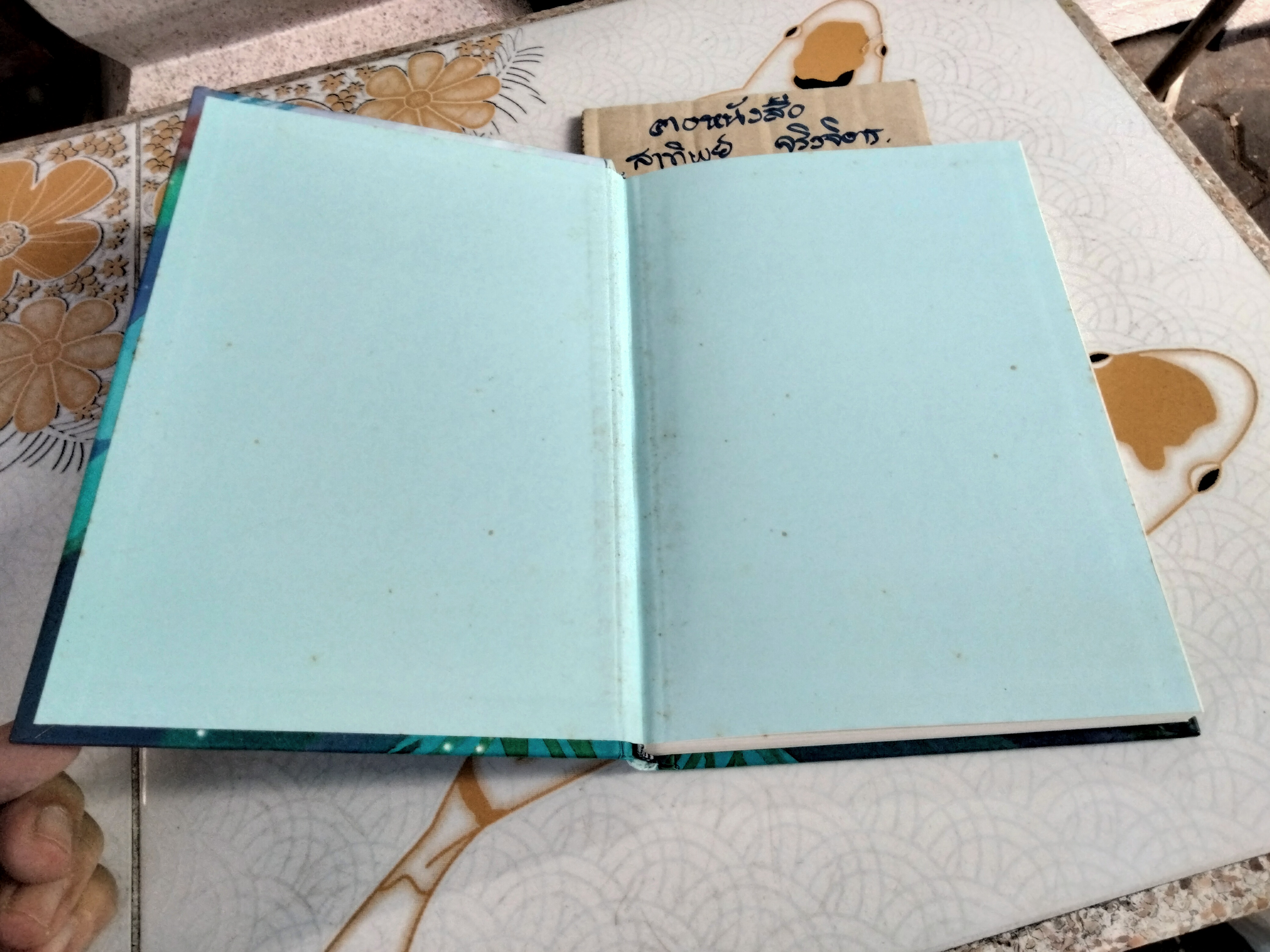 เอมิลีมีหาง (ปกแข็ง) ลิซ เคสส์เลอร์ เขียน , สิริยากร พุกกะเวส แปล