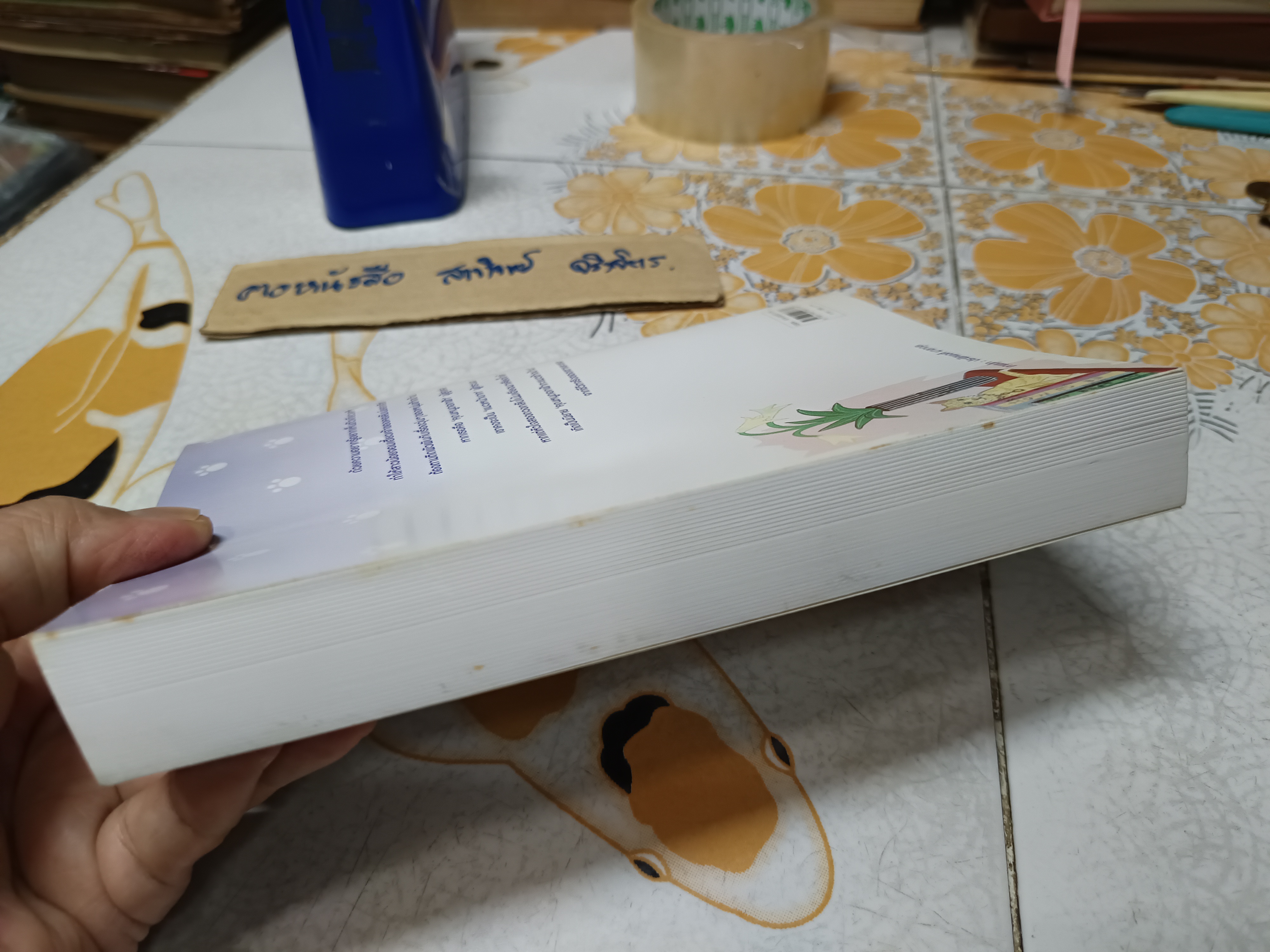 คุณหนูดอกฟ้ากะแมวข้างบ้าน (เล่มเดียวจบ) - กัญญามาศ พิมพ์ครั้งแรกพ.ศ 2547 สำนักพิมพ์เพื่อนดี