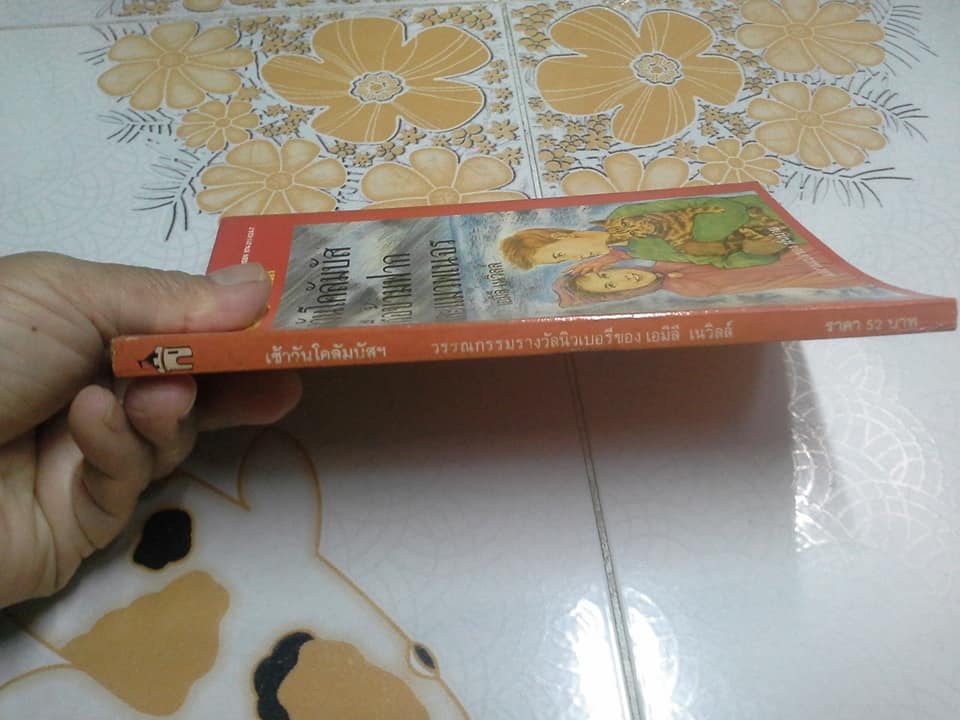 เช้าวันโคลัมบัส เรือข้ามฟาก และแมวพเนจร (It's Like This, Cat) **รางวัลนิวเบอรี่ ปี 1964