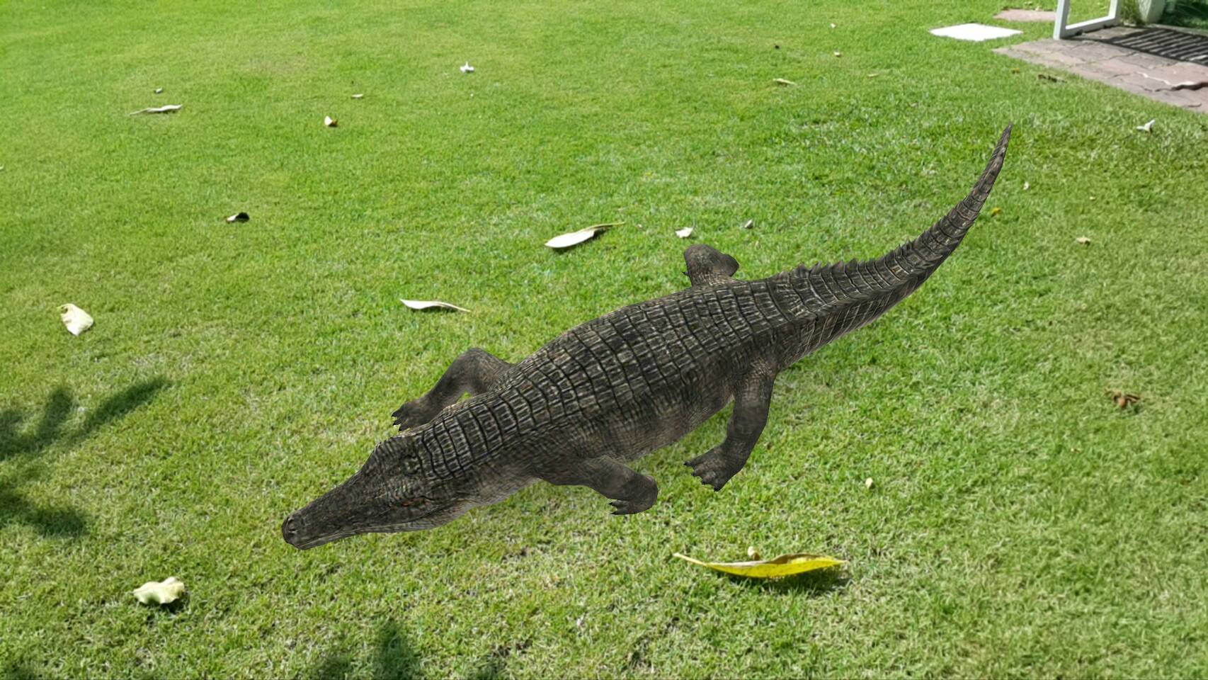 สื่อสามมิติ ด้านภาษา