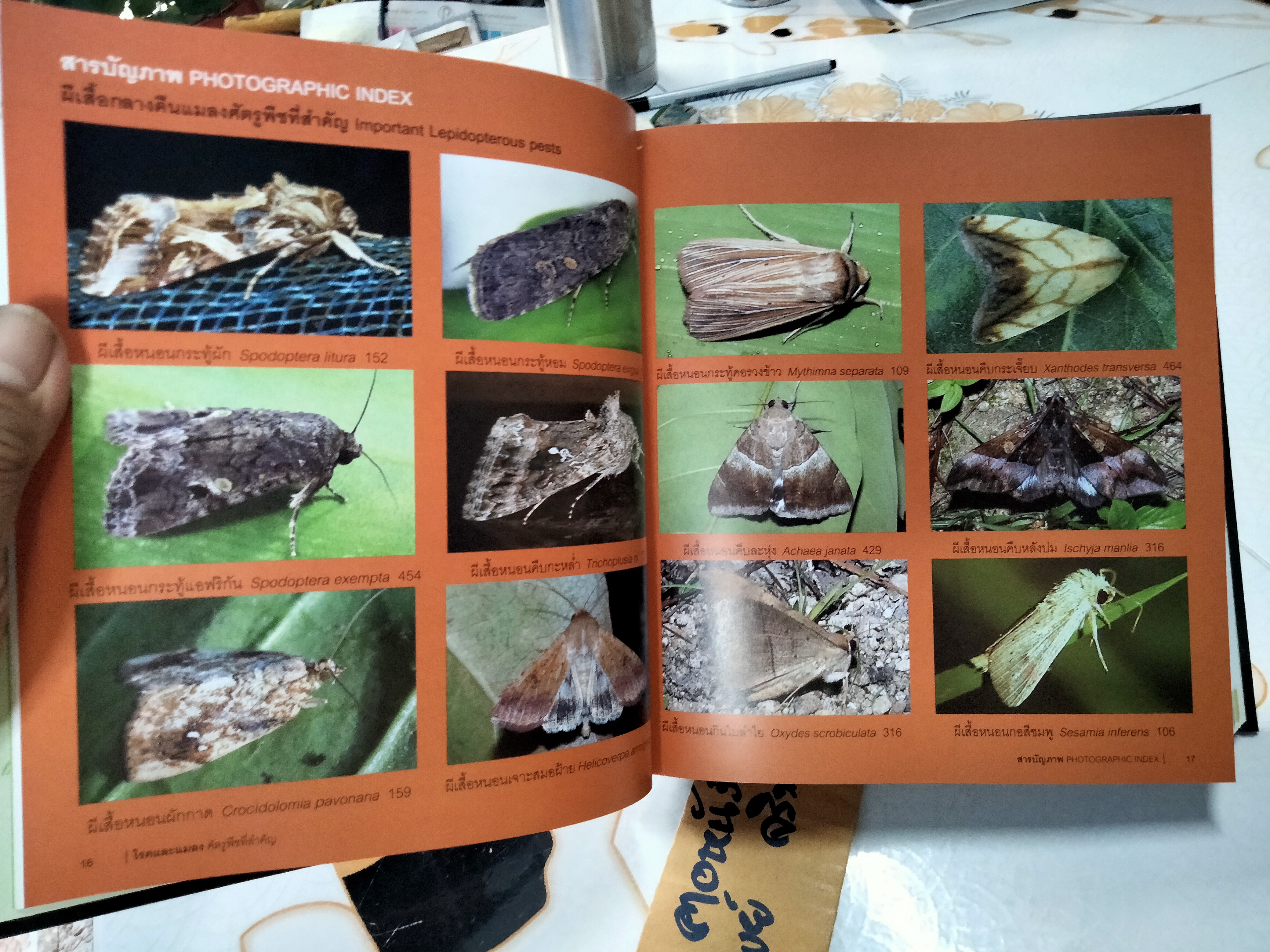 หนังสือ โรคและแมลง ศัตรูพืชที่สำคัญ - พิสุทธิ์ เอกอำนวย PLANT DISEASES AND INSECT PESTS OF ECONOMIC IMPORTANCE (พิมพ์ 2/2553) **สินค้าหมด*"