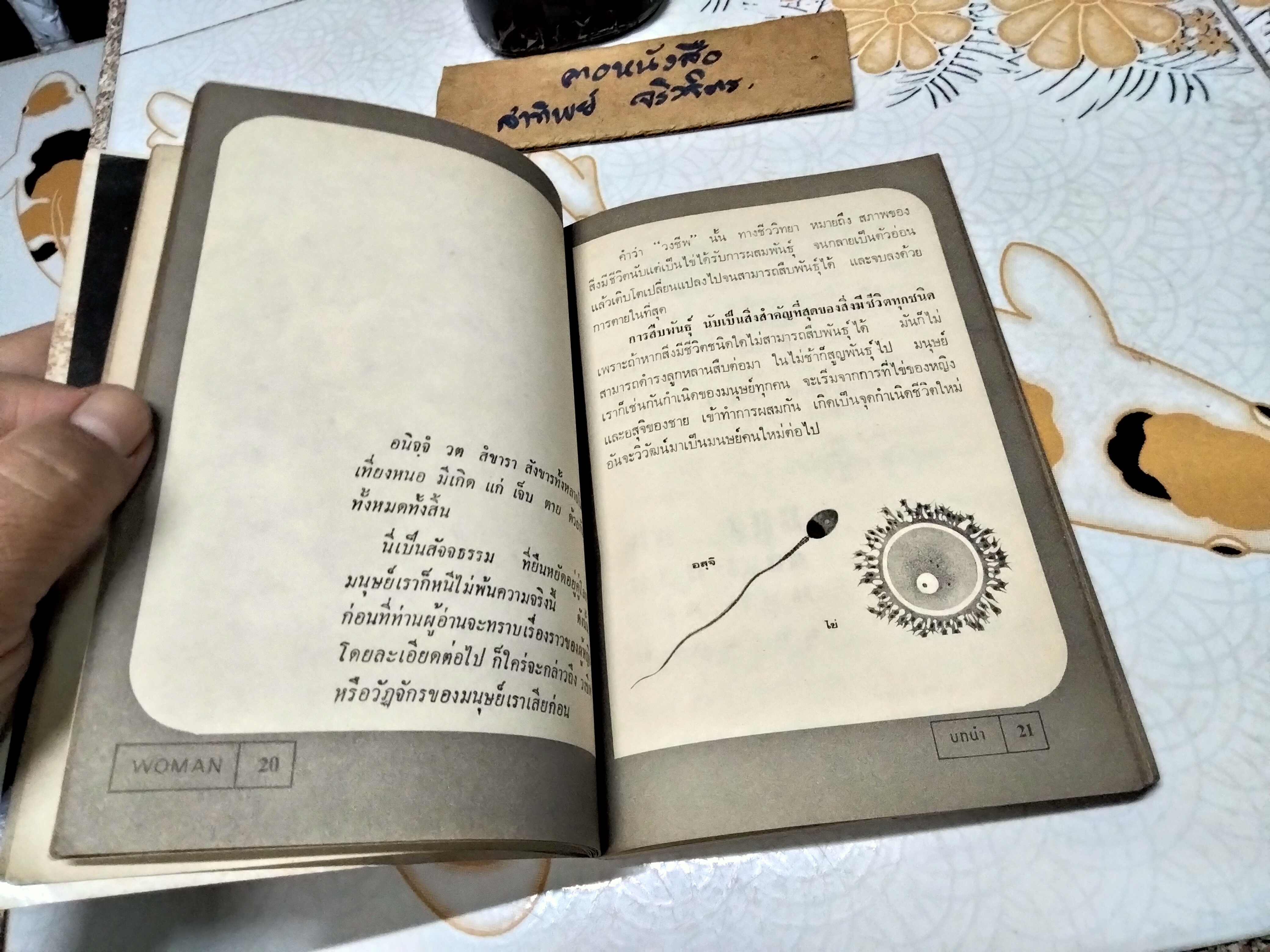 WOMAN หนังสือในโครงการวิทยาศาสตร์สำหรับชาวบ้าน ลำดับที่ 7 จัดทำโดย บรรณาธิการวารสารวิทยาศาสตร์ คณะวิทยาศาสตร์ จุฬาลงกรณ์มหาวิทยาลัย พิมพ์ปี พ.ศ.2521