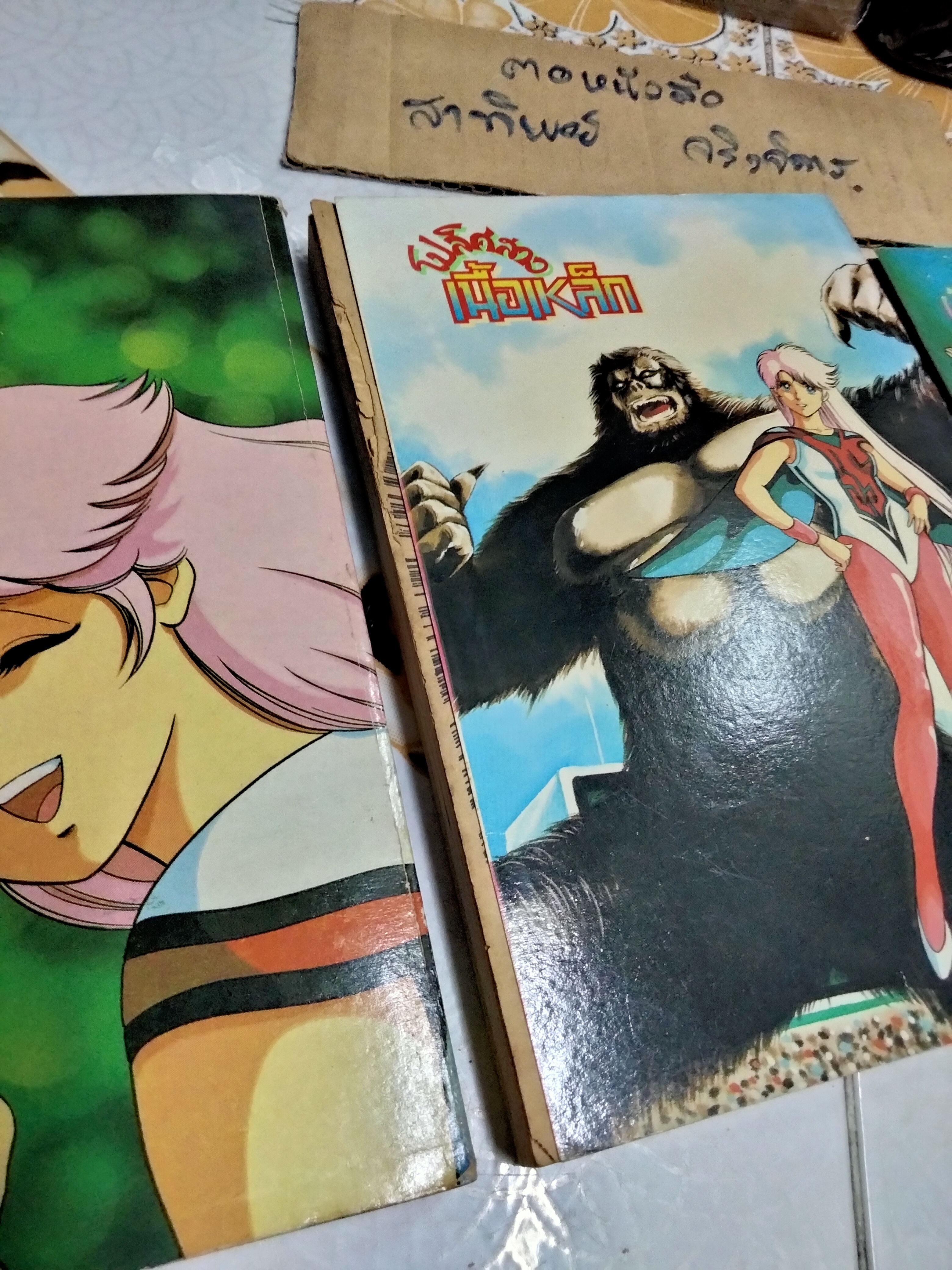 โปลิศสาวเนื้อเหล็ก (3 เล่มจบ) ผลงานของ โอกาซากิ ซึกึโอะ ผู้เขียนเรื่อง จัสตี้