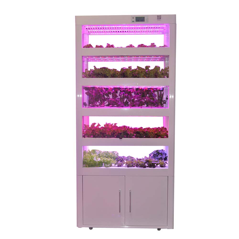 ตู้ปลูกผัก machine vegetable plant factory