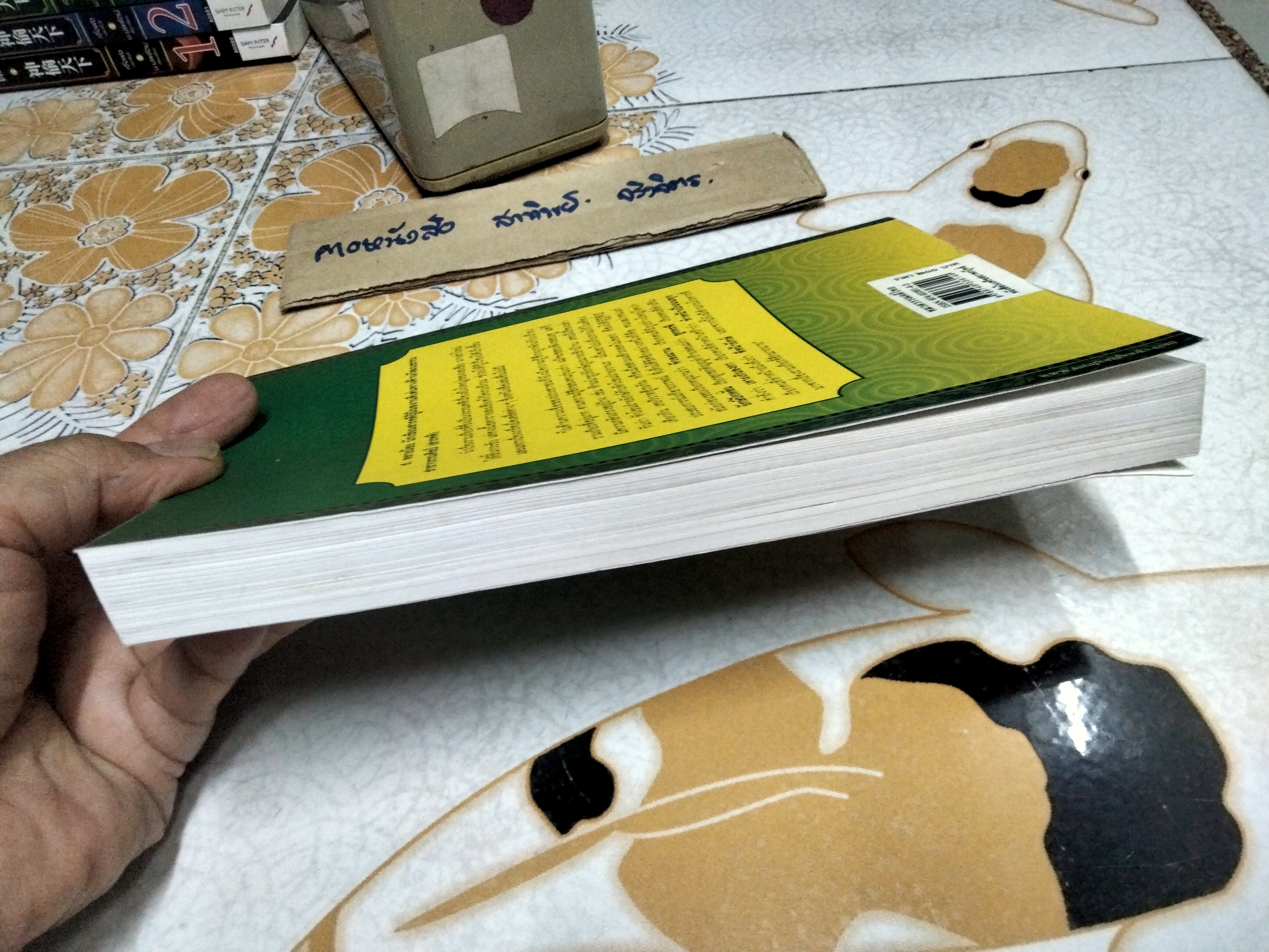 รามเกียรติ์ ฉบับมหาชน โดย ส.พลายน้อย พิมพ์ครั้งที่ 2/2549 .