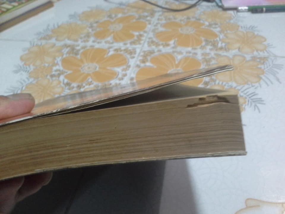 ชั่วนิรันดร - สุรพงษ์ บุนนาค (หนังสือมีตำหนิ)