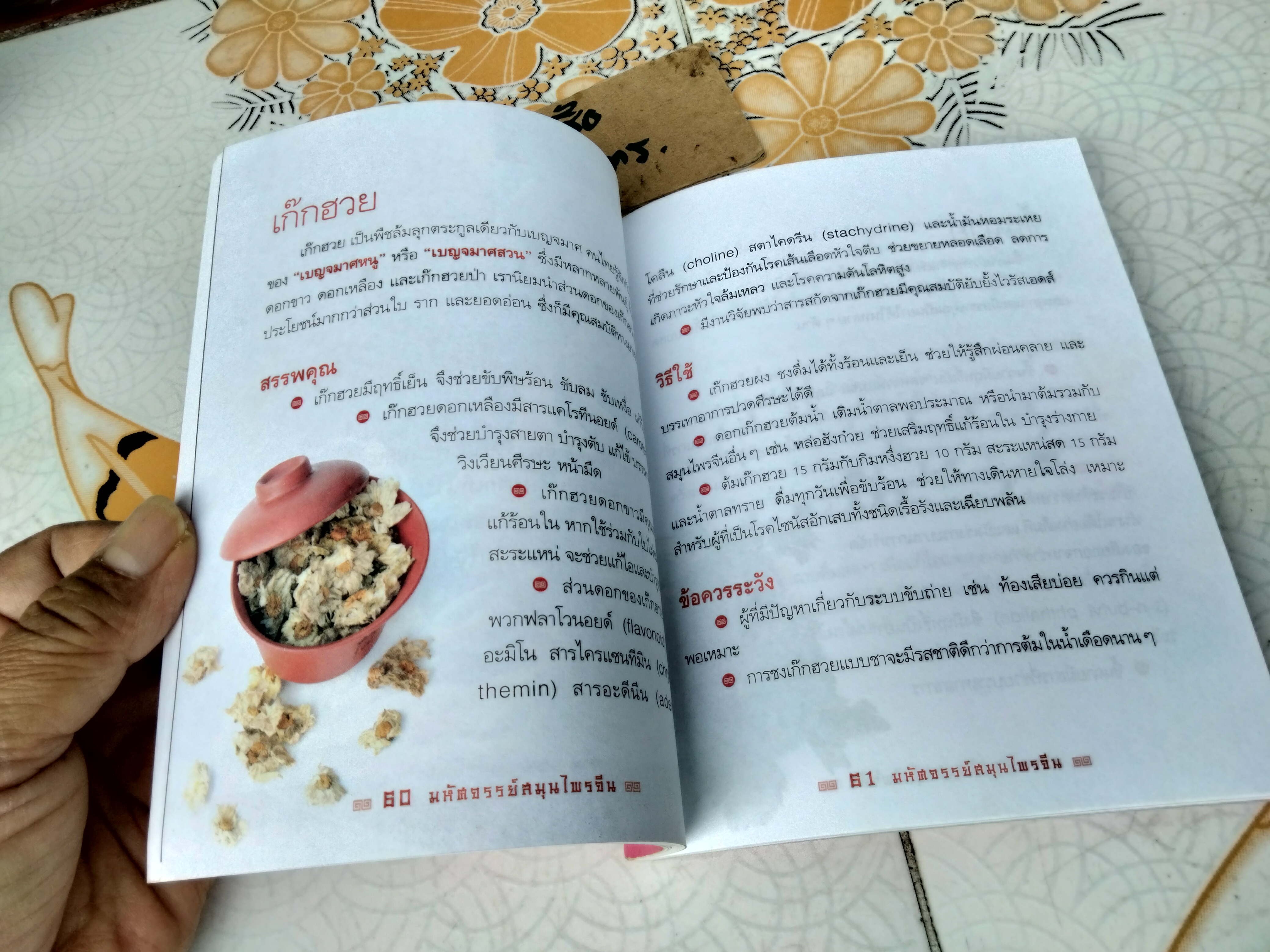 มหัศจรรย์ สมุนไพรจีน - หนังสืออภินันทนาการ โดย บ.หลักทรัพย์จัดการกองทุน กสิกรไทย จำกัด