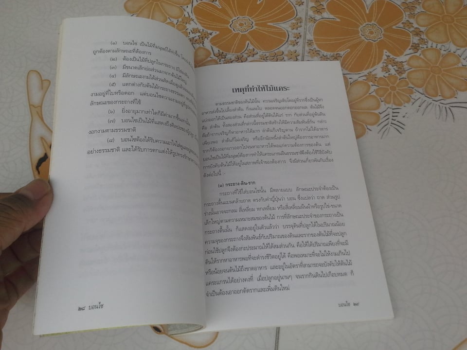 บอนไซ โดย โอสถ โกศิน **สินค้าหมด**