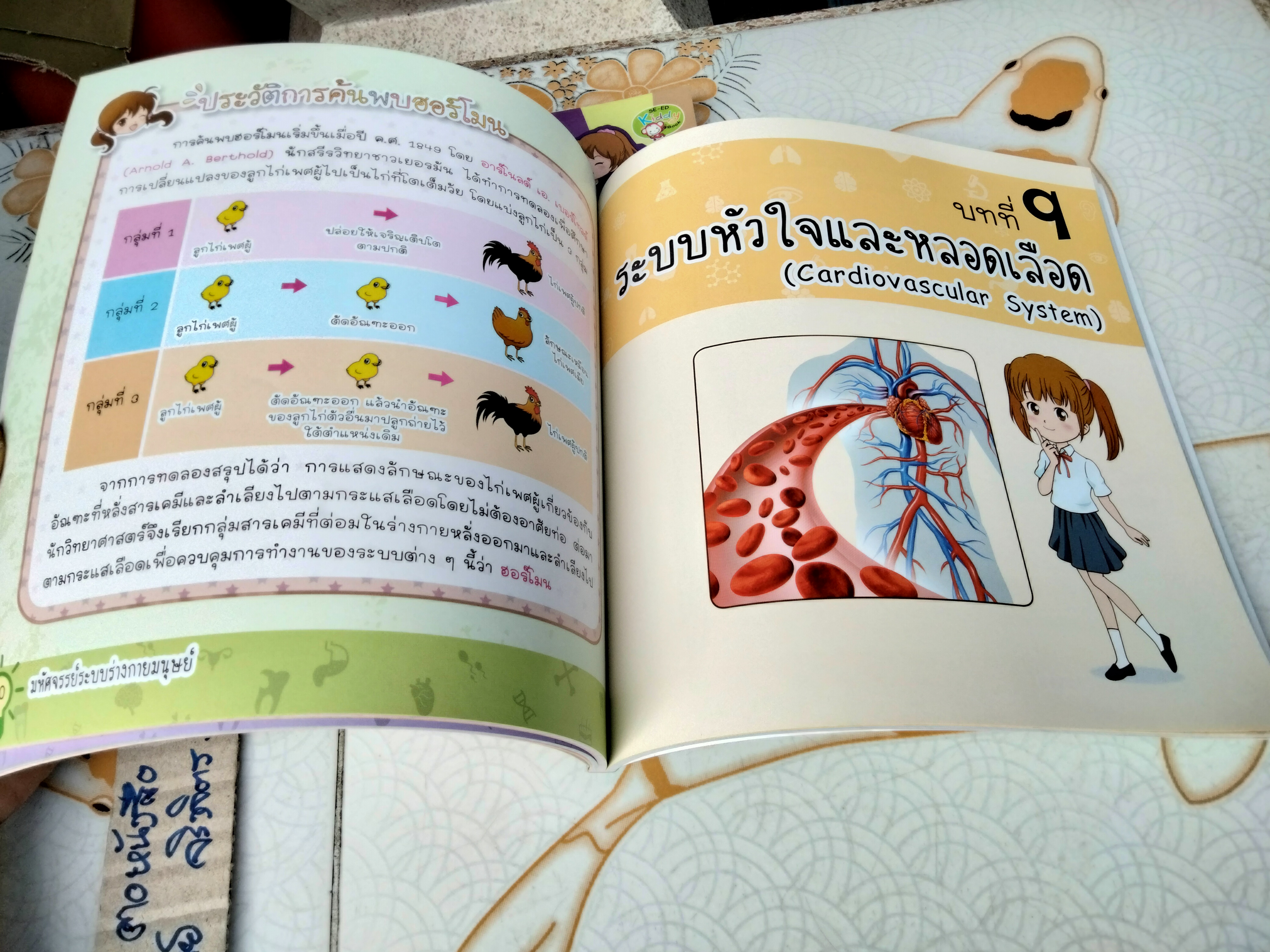 มหัศจรรย์ระบบร่างกายมนุษย์ Amazing Human Body - พ.ญ. ชัญวลี ศรีสุโข : หนังสือความรู้อิงหลักสูตรตรงกับกลุ่มสาระวิชาวิทยาศาสตร์ของ สพฐ.