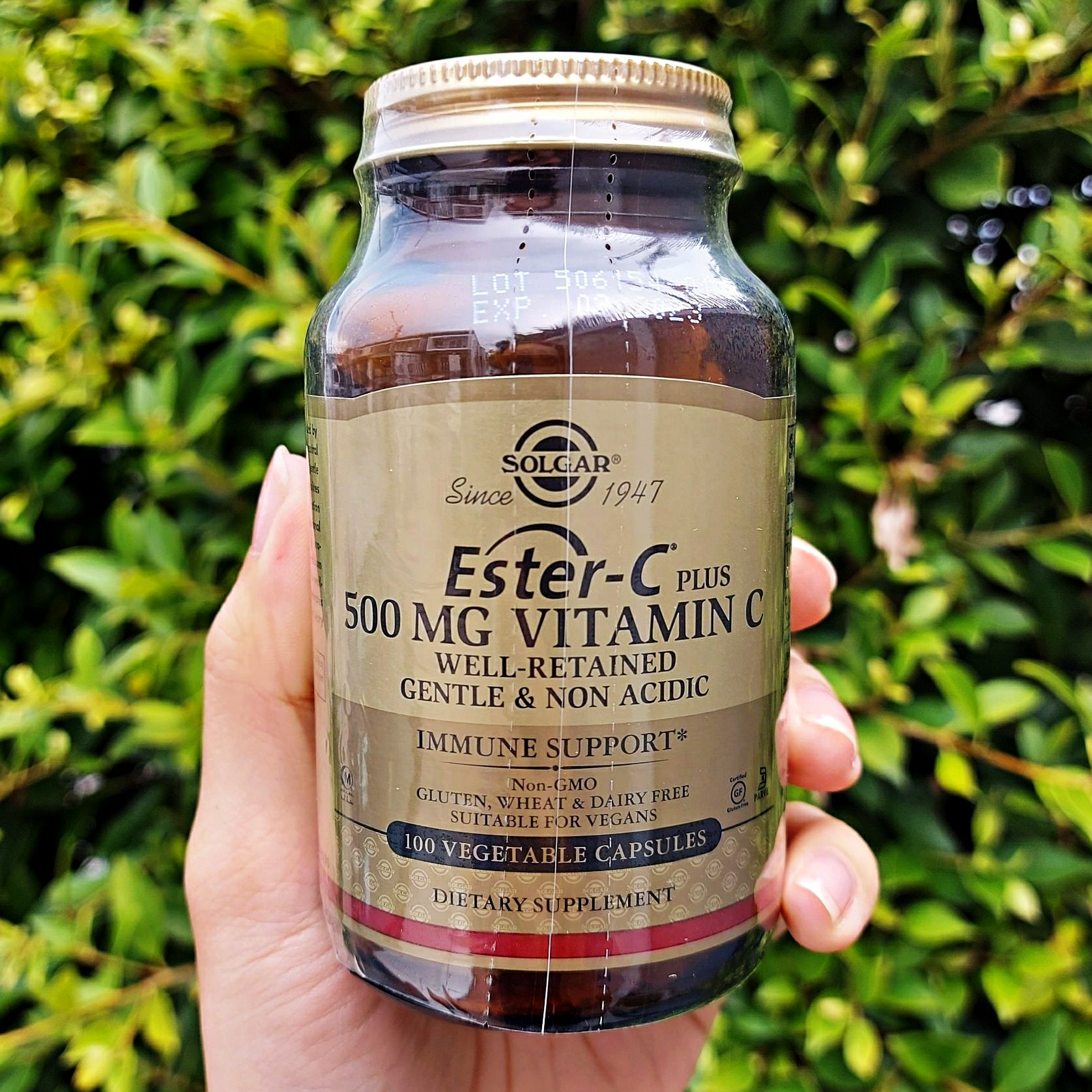 เอสเตอร์-ซี พลัส วิตามินซี Ester-C Plus Vitamin C 500 mg 100 Vegetable Capsules (Solgar®) ผสมไบโอฟลาโวนอยด์ ไม่ระคายเคืองกระเพาะ