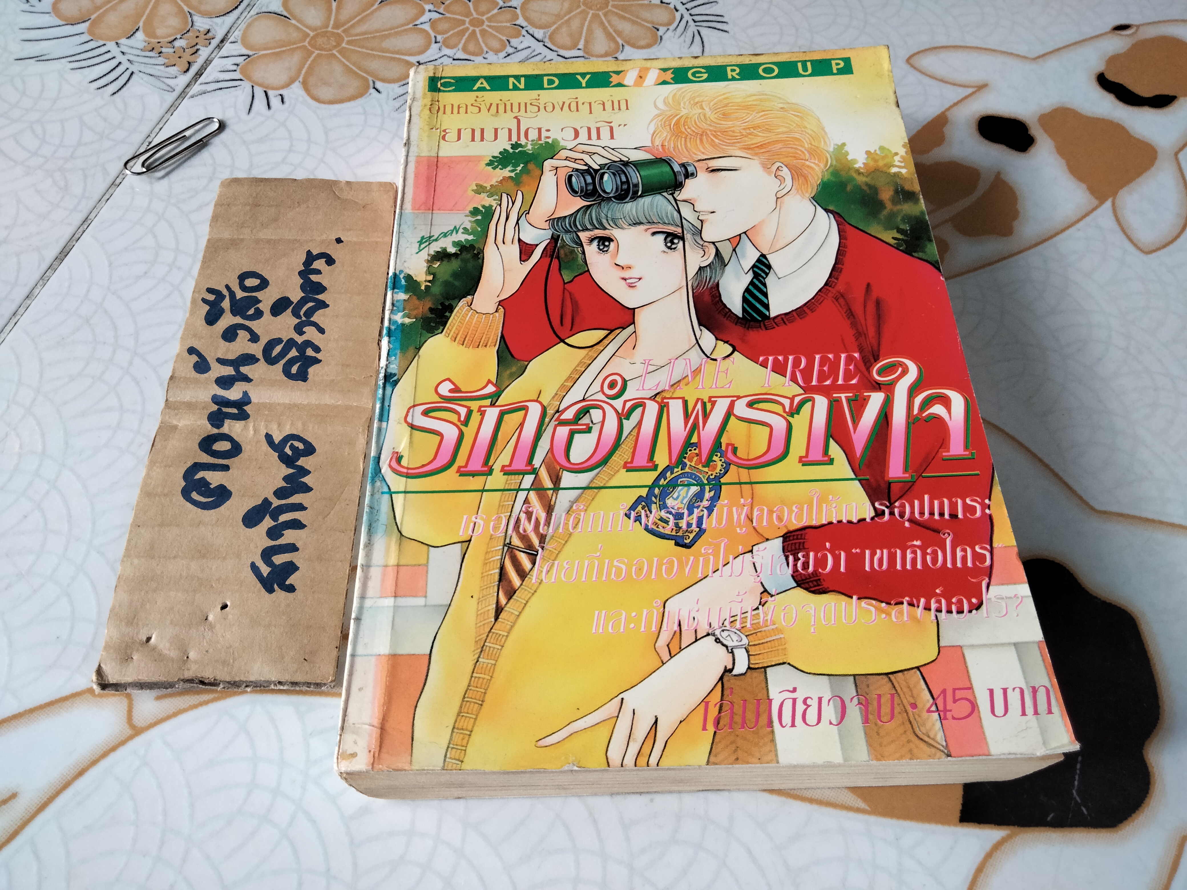 รักอำพรางใจ ( Lime Tree) เล่มเดียวจบ - ยามาโตะ วากิ **สินค้าหมด**