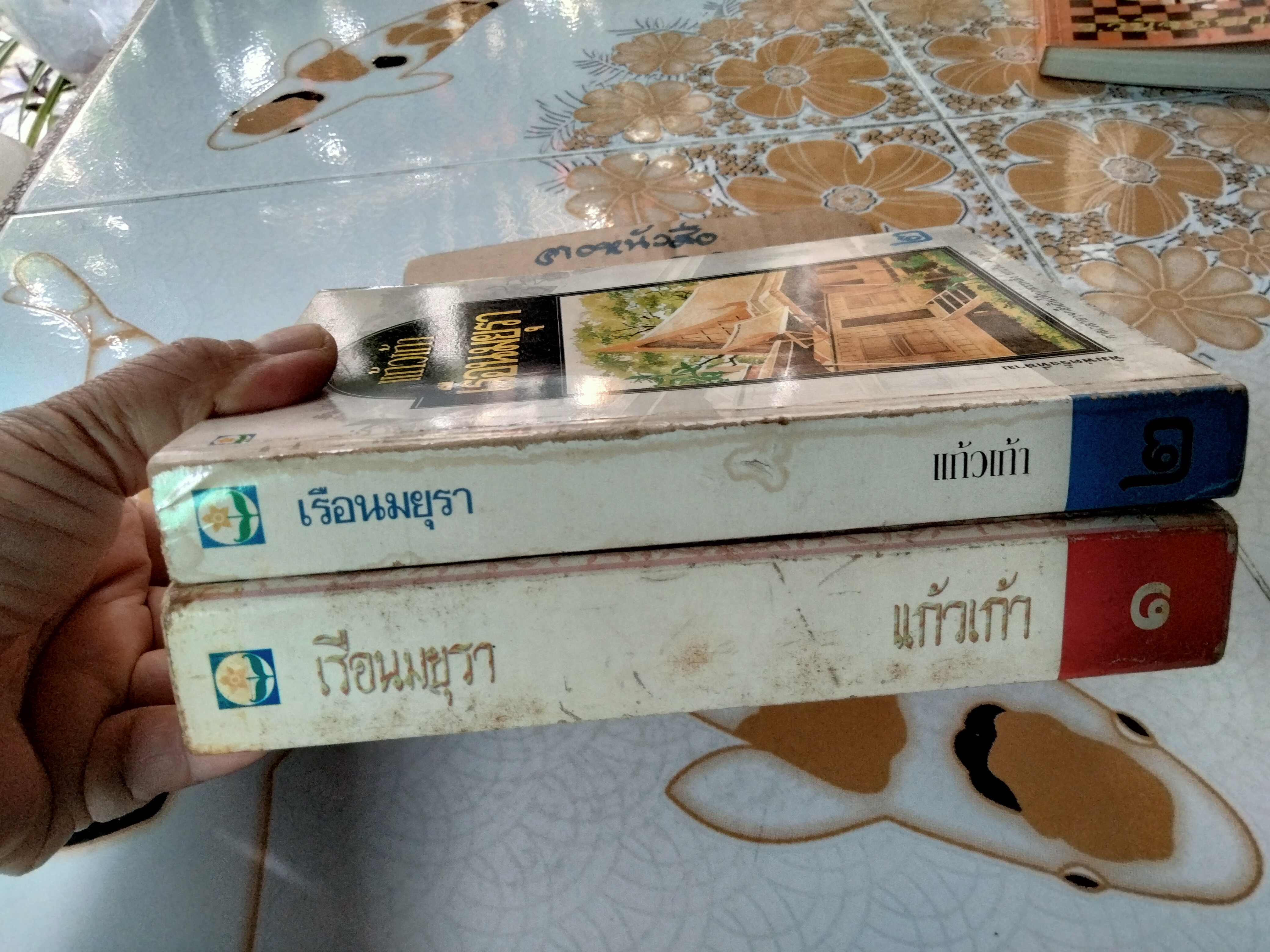 เรือนมยุรา (2 เล่มจบ- พิมพ์คนละครั้ง) แก้วเก้า
