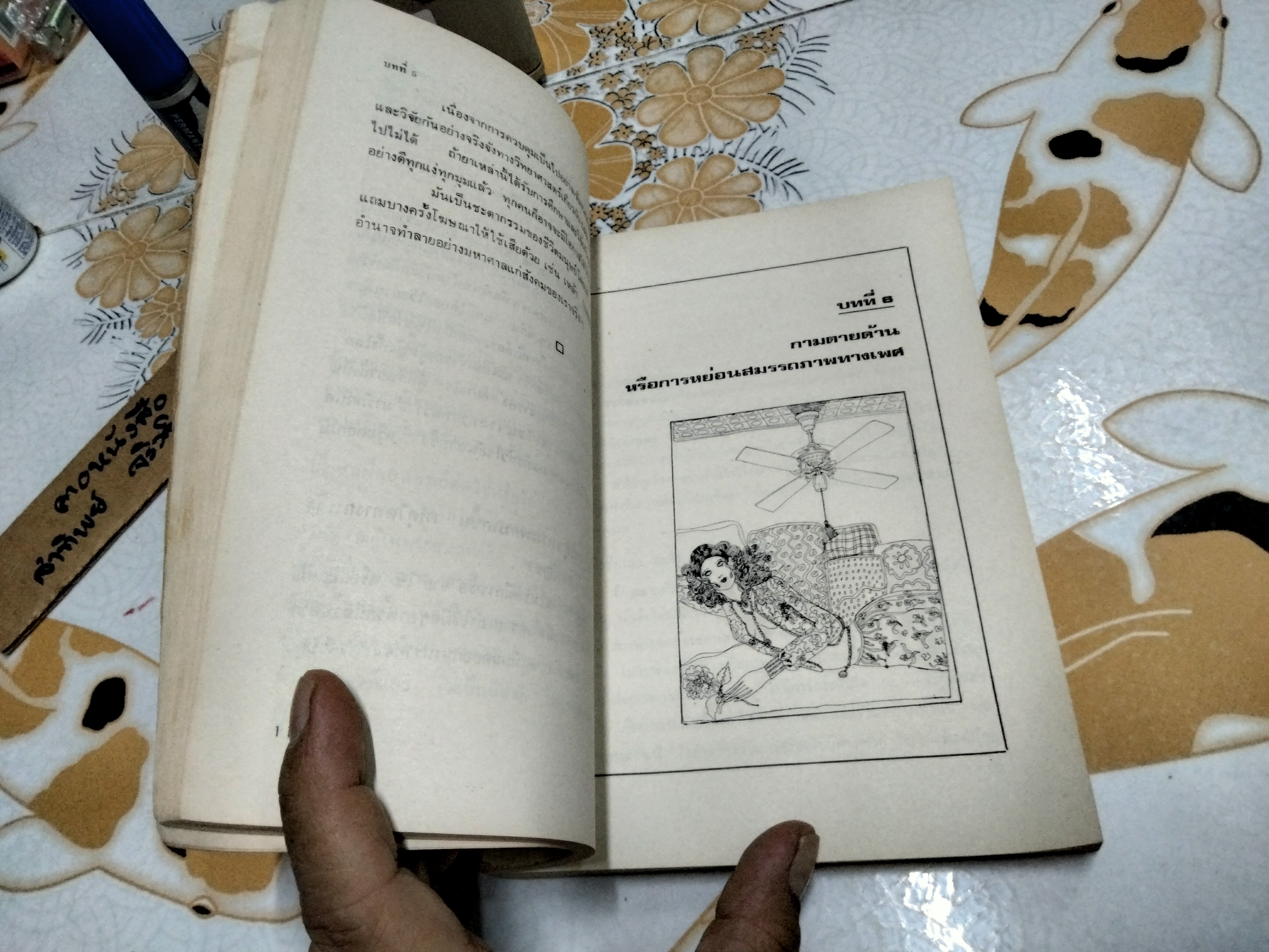 เรื่องเพศที่ทุกคนต้องการรู้แต่ไม่กล้าถามใคร โดย เดวิด รูเบน เอ็ม.ดี น.พ.นพพร แปล