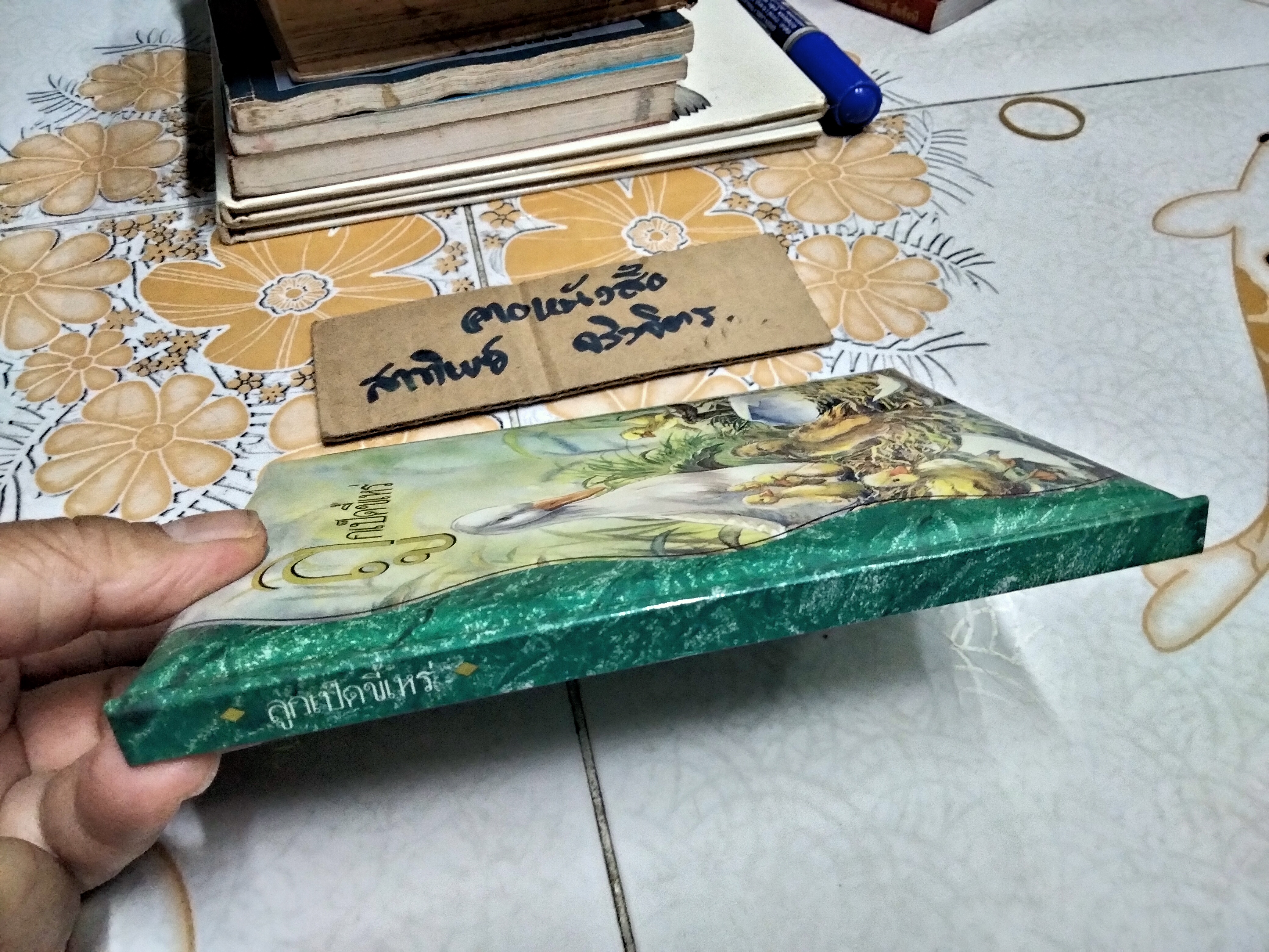 ลูกเป็ดขี้เหร่ ชุด ฮันส์ คริสเตียน แอนเดอร์สัน **สินค้าหมด**