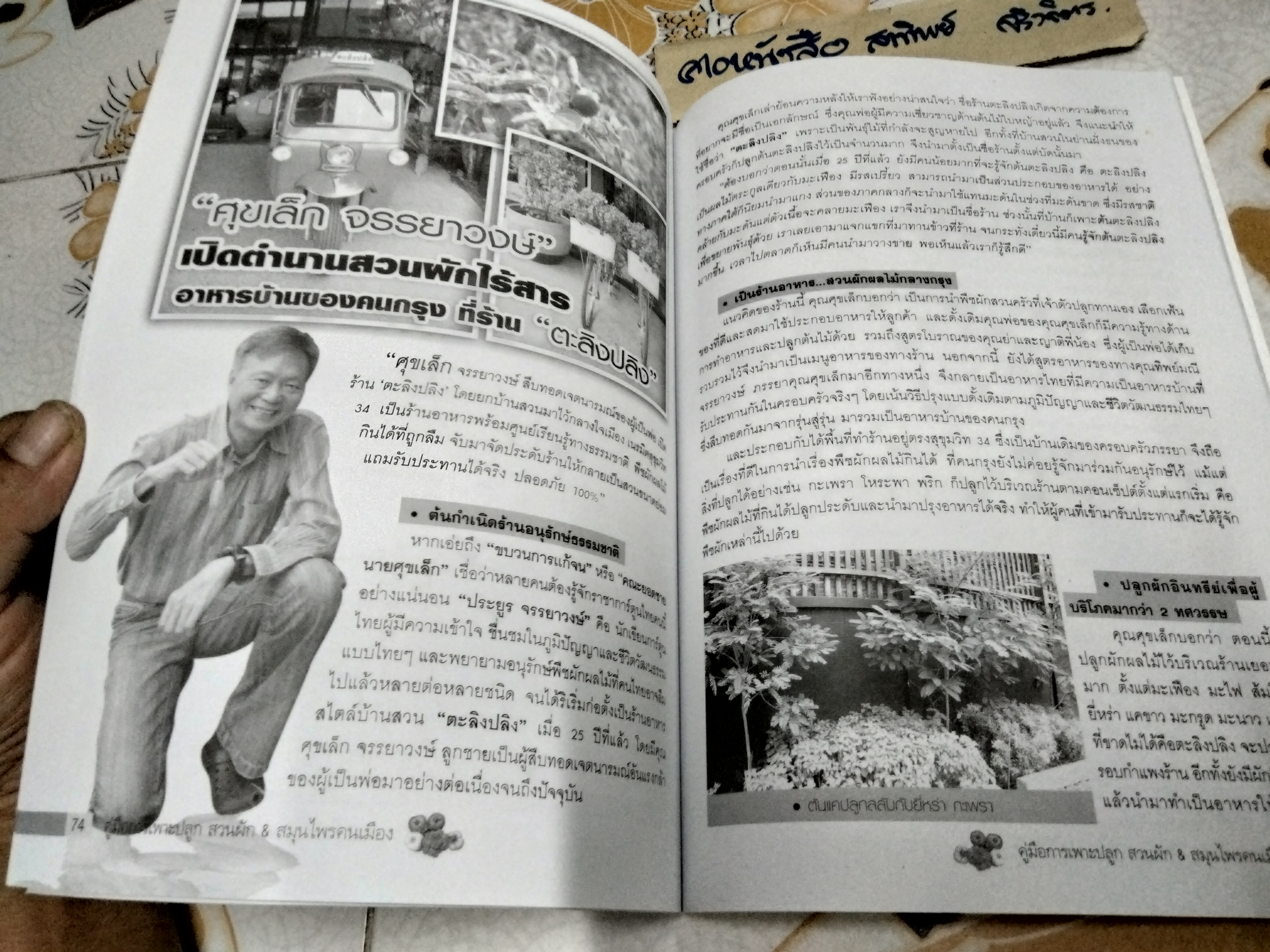 คู่มือการเพาะปลูกสวนผัก & สมุนไพรคนเมือง ผู้เขียน อภิชาติ ศรีสอาด
