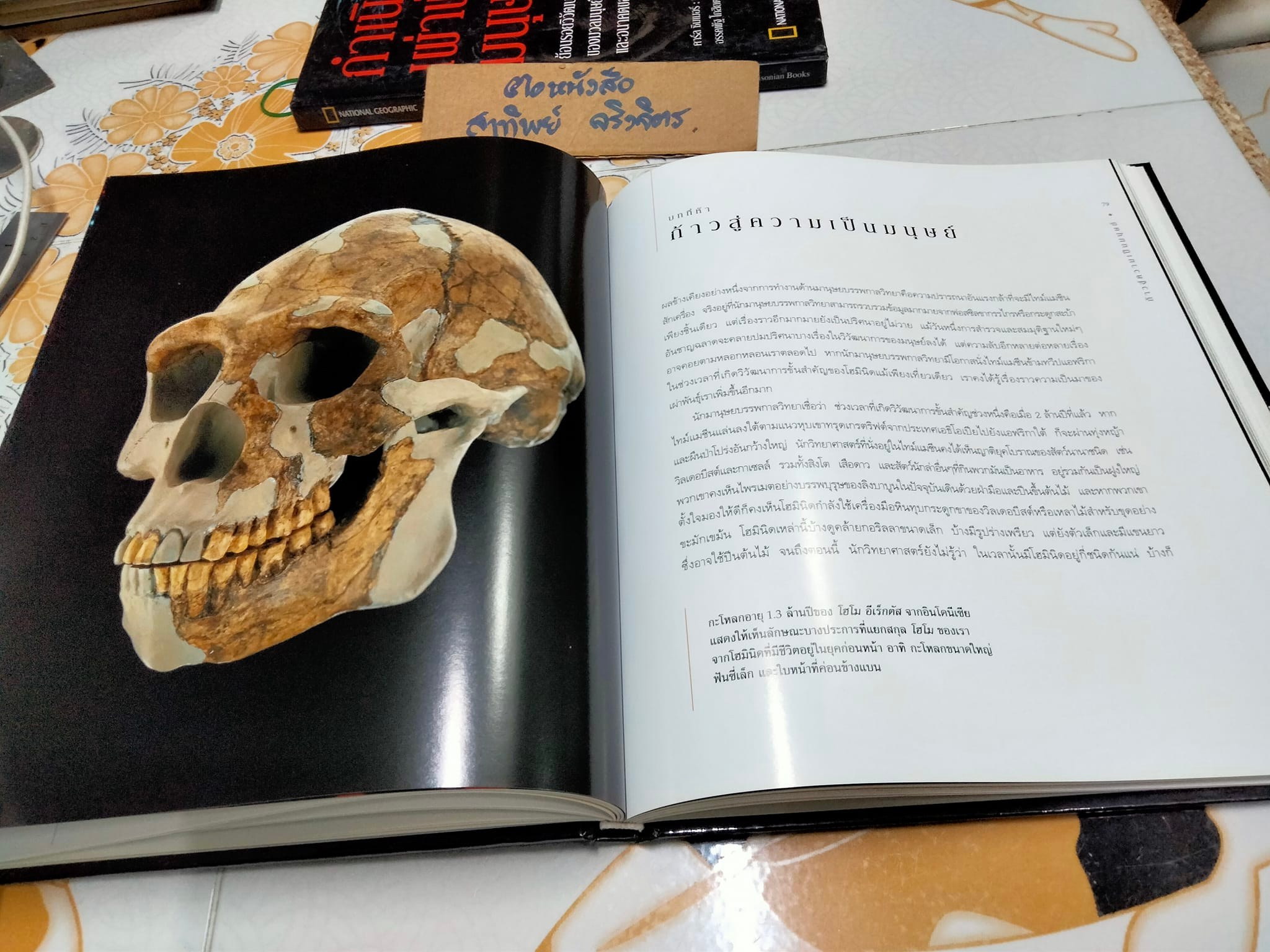 กำเนิดเผ่าพันธุ์มนุษย์ คาร์ล ซิมเมอร์ เขียน - อรรคพัฐโกสิยตระกูล แปล (NATIONAL GEOGRAPHY ปกแข็ง) **สินค้าหมด**