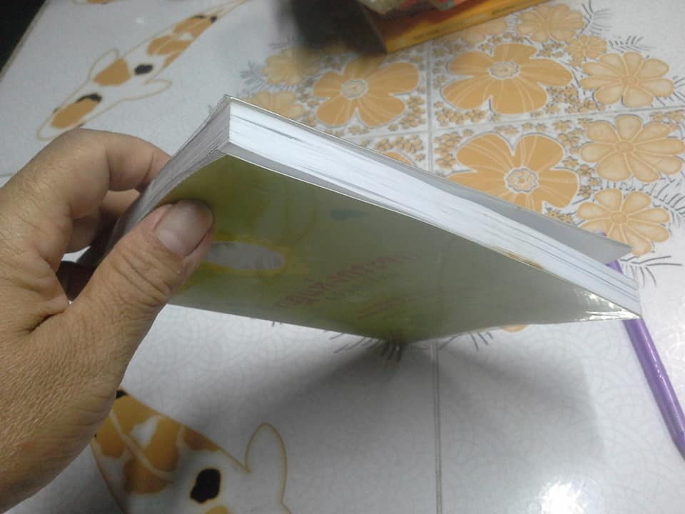 กฎแห่งกระจก + กฎแห่งกระจก ฉบับการ์ตูน (รวม 2 เล่ม) **สินค้าหมด**