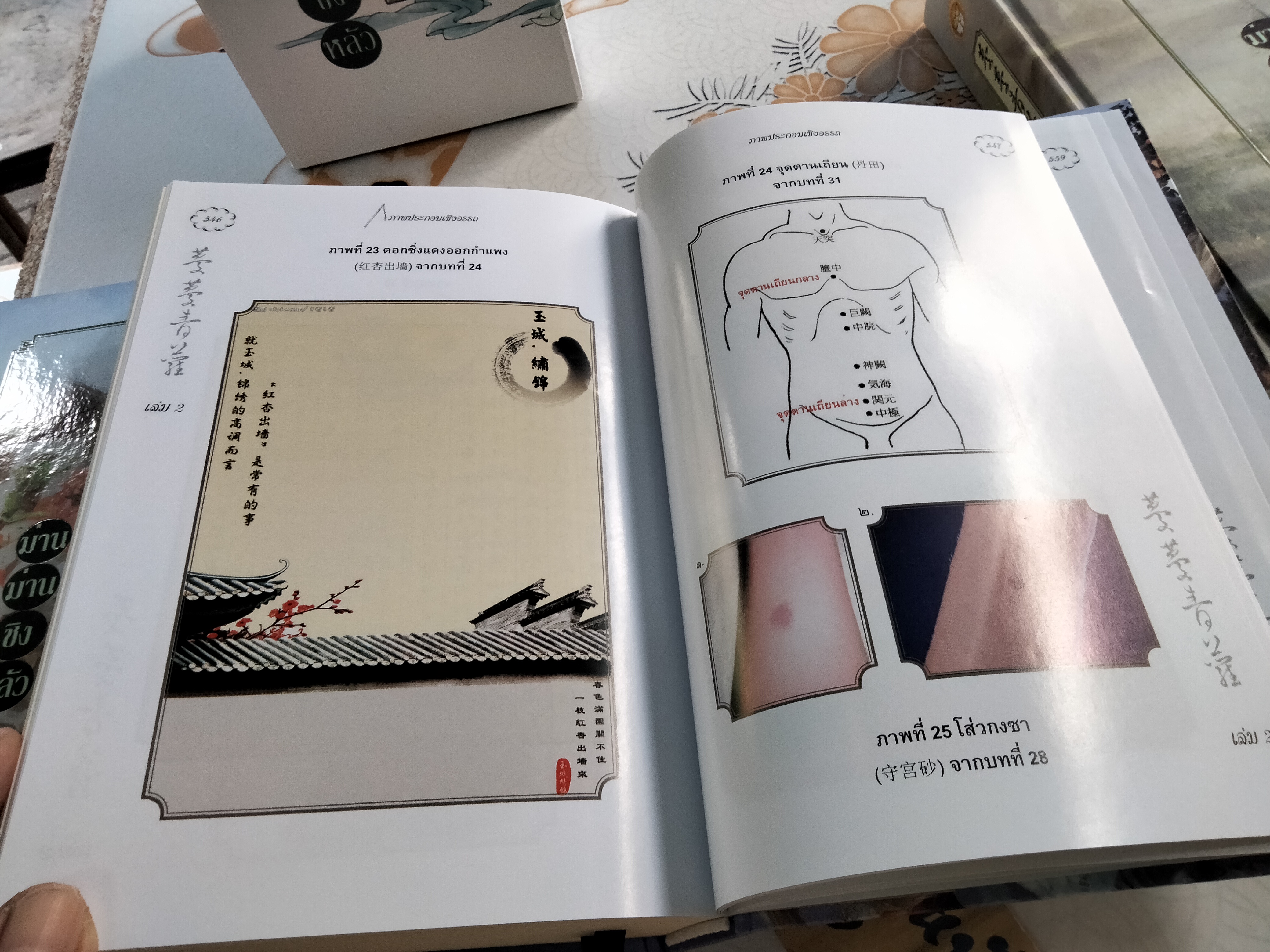 Boxset ม่านม่านชิงหลัว (3 เล่มจบ) เรื่องโดย จวงจวง, แปลโดย หลินโหม่ว (สุรีย์ พฤกษานุศักดิ์) **สินค้าหมด**