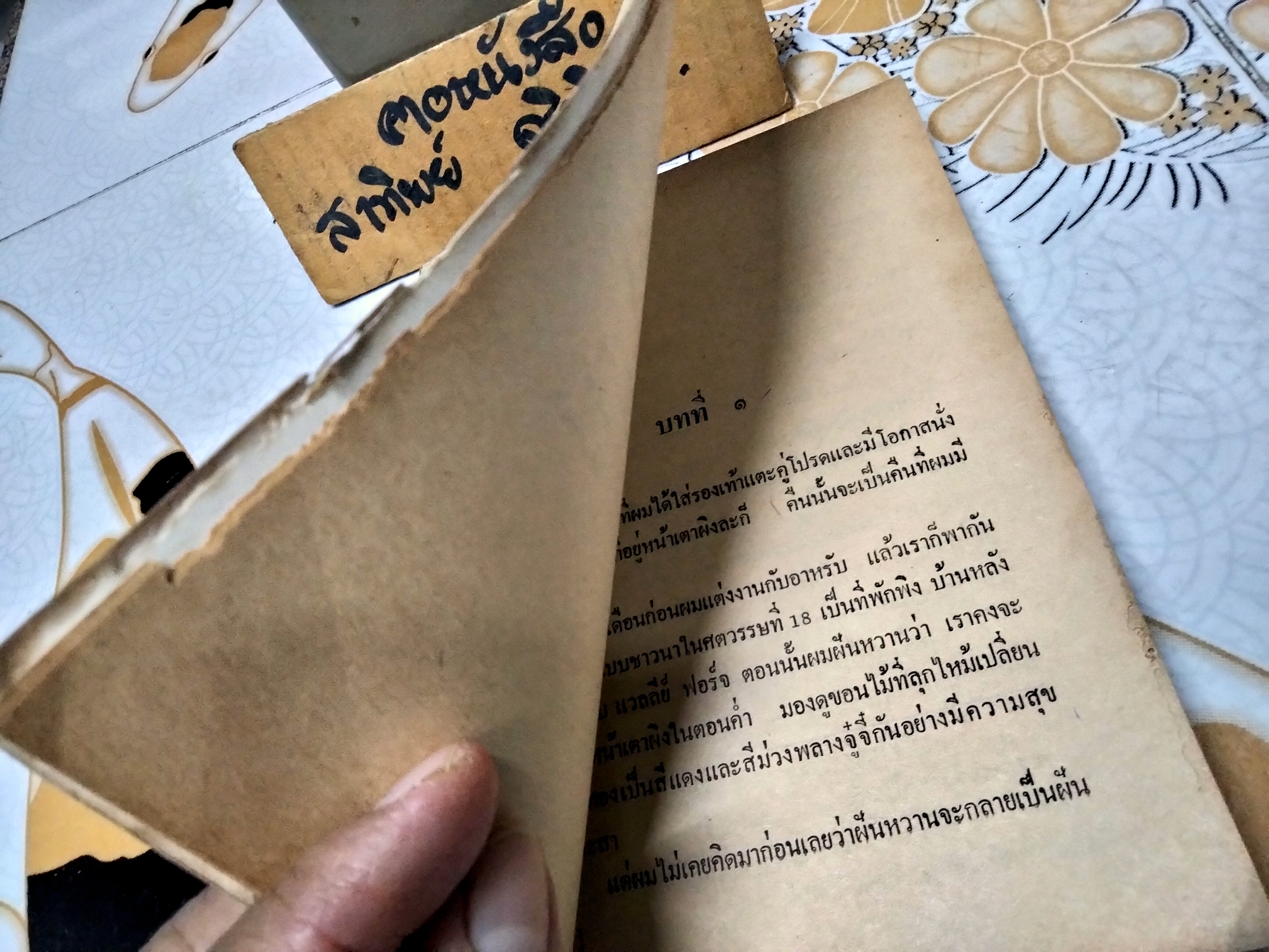 เมียจอมยุ่ง Don't catch me ผลงานของ Richard Powell แปลโดย ทิพย์ชาติ **สินค้าหมด**