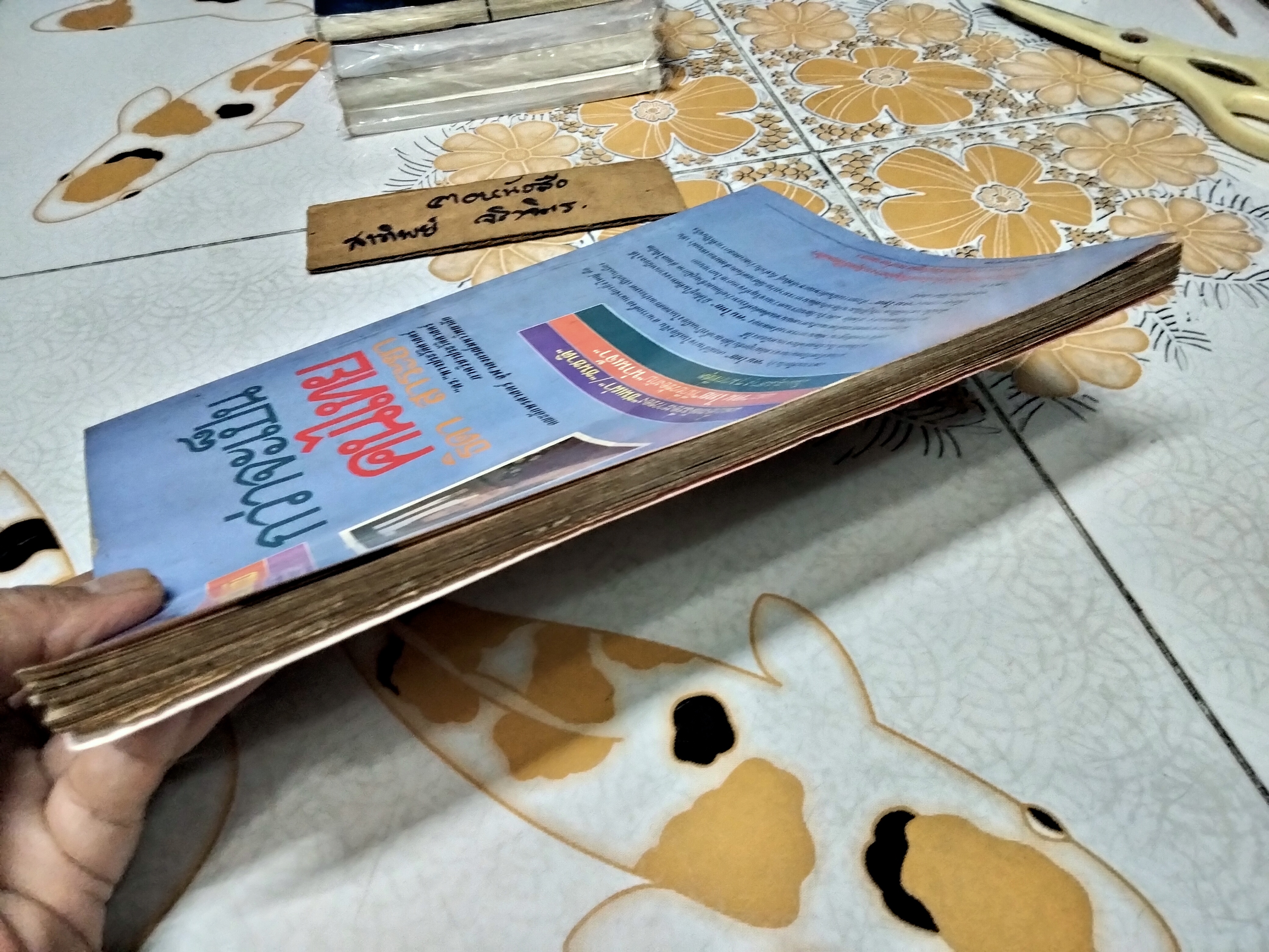 กว่าจะเป็นคนไทย ผลงานของ ธิดา สาระยา พิมพ์ครั้งแรก พ.ศ.2531 ศิลปวัฒนธรรม ฉบับพิเศษ