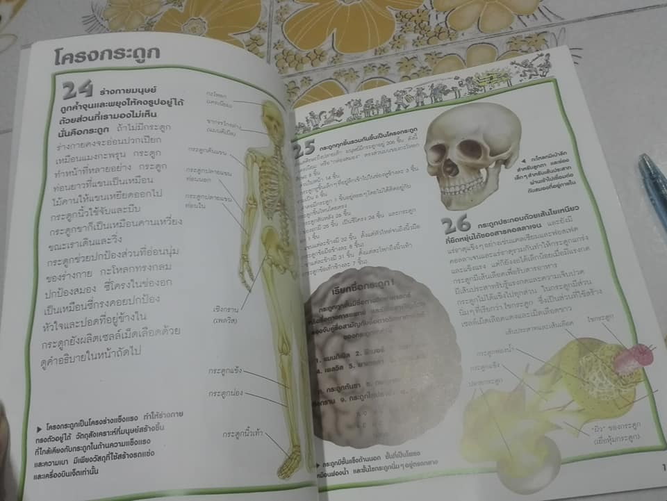 หนังสือชุด 100 เรื่องน่ารู้เกี่ยวกับ ร่างกายของเรา (ลำดับที่ 4)**สินค้าหมด**