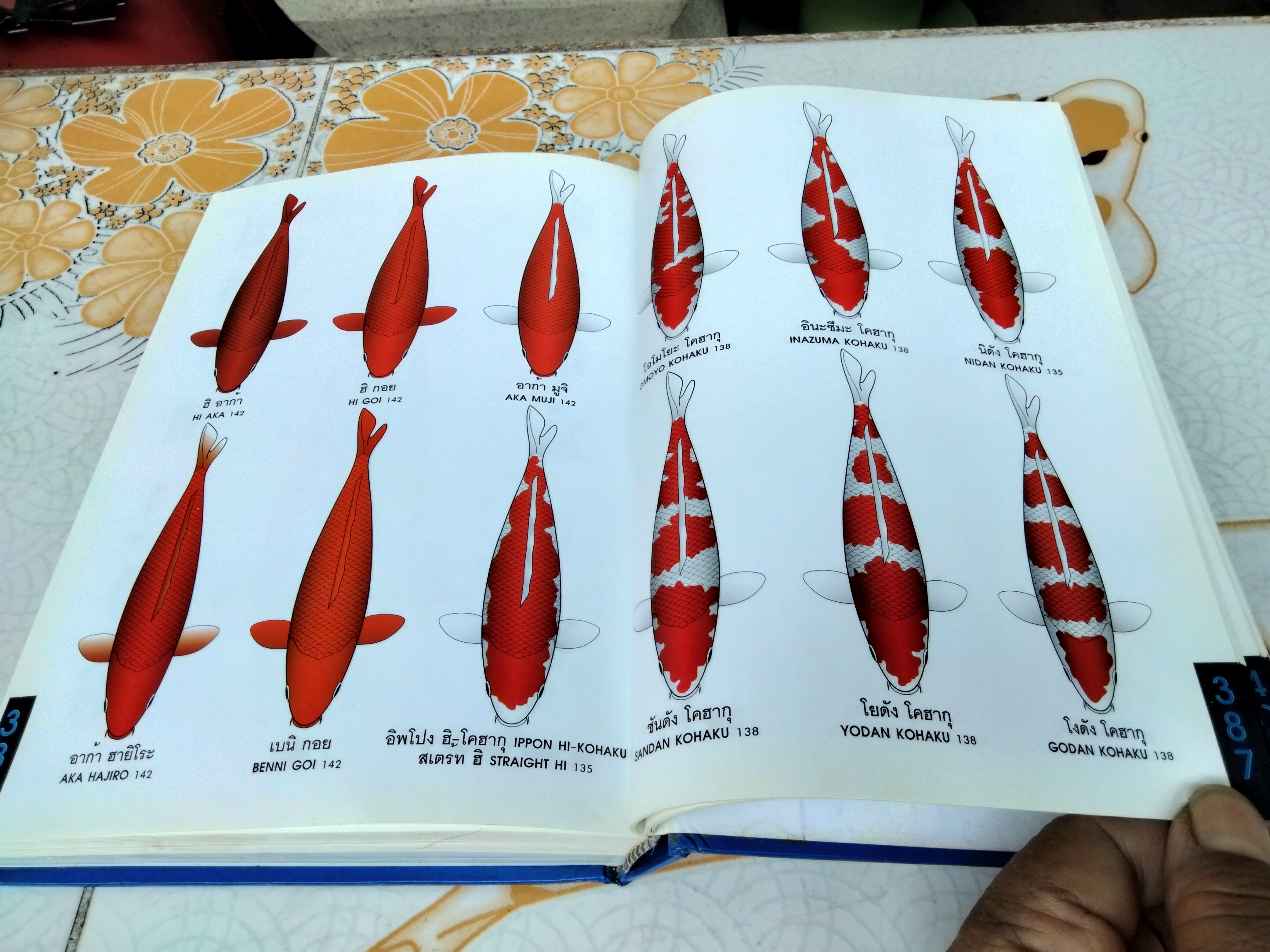 คู่มือเลี้ยงปลาคาร์พ โดย สุรศักดิ์ วงศ์กิตติเวช HANDBOOK OF NISHIKIGOI **สินค้าหมด**