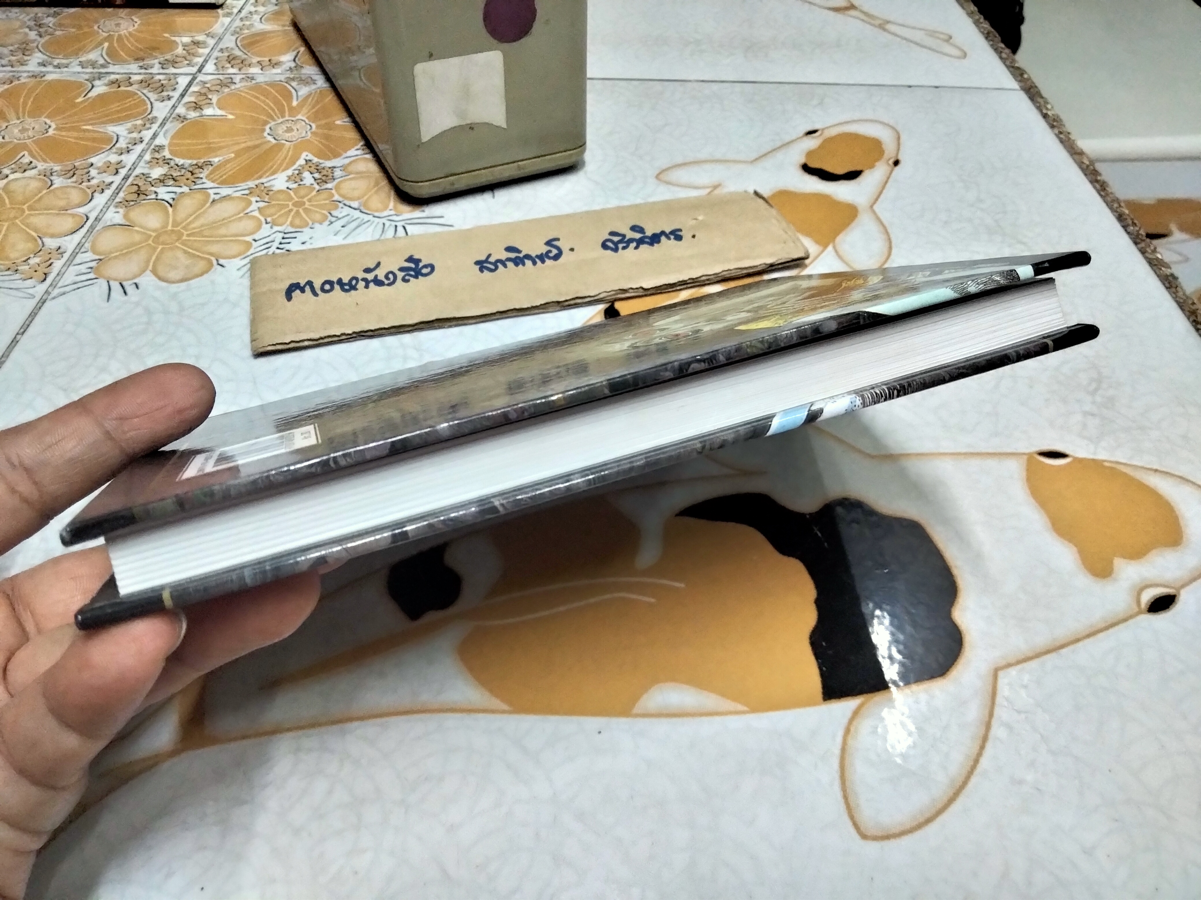 ตำนานปีศาจญี่ปุ่น Shigeru Mizuki เรื่องและภาพ Marisa Kotani แปล พิมพ์ครั้งแรก พ.ศ 2550 **สินค้าหมด**