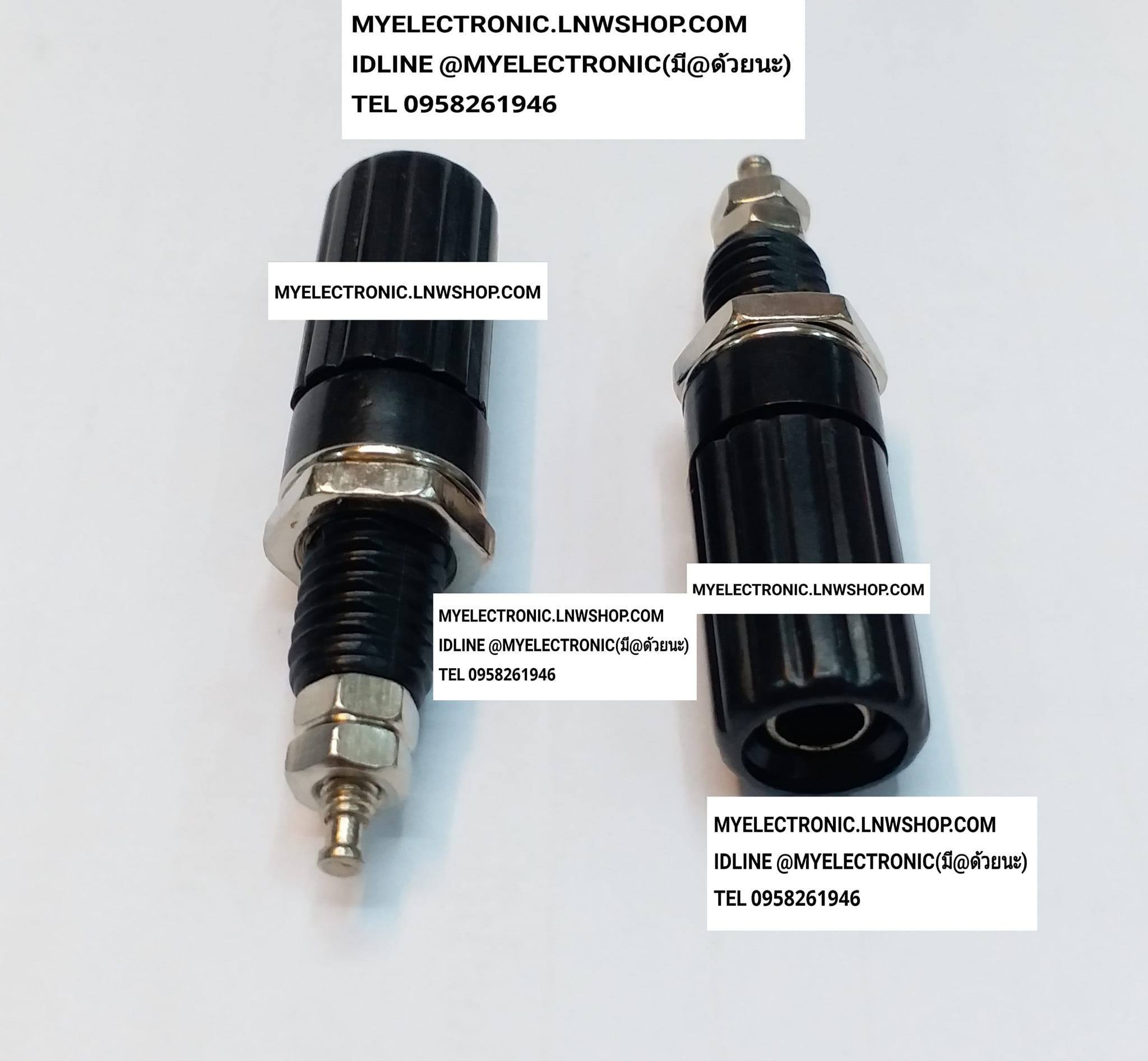 ขาย แจ็คไบริ่งโฟสตัวเมีย สีดำ JACK BIRINGPOS ฺBLACK FEMALE แจ็คไบริ่งโฟส ตัวเมีย ยี่ห้อ ราคา ตัวละ . . . . หน่วย บาท