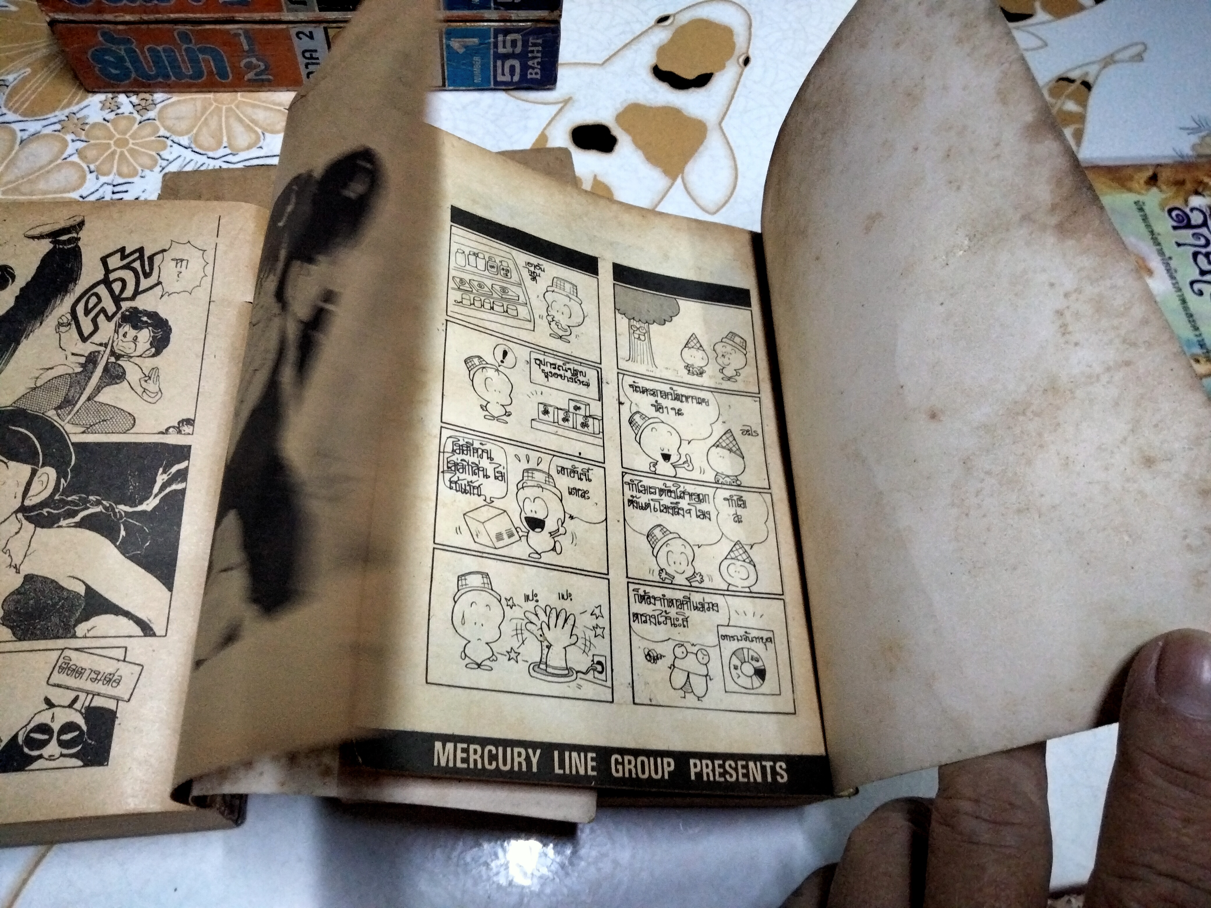 รันม่า 1/2 เจ้าหนุ่มกังฟู 3 ภาค - 6 เล่ม (เล่มหนา-มิตรไมตรี) STORY & ILLUSTRATED BY TAKAHASHI RUMIKO