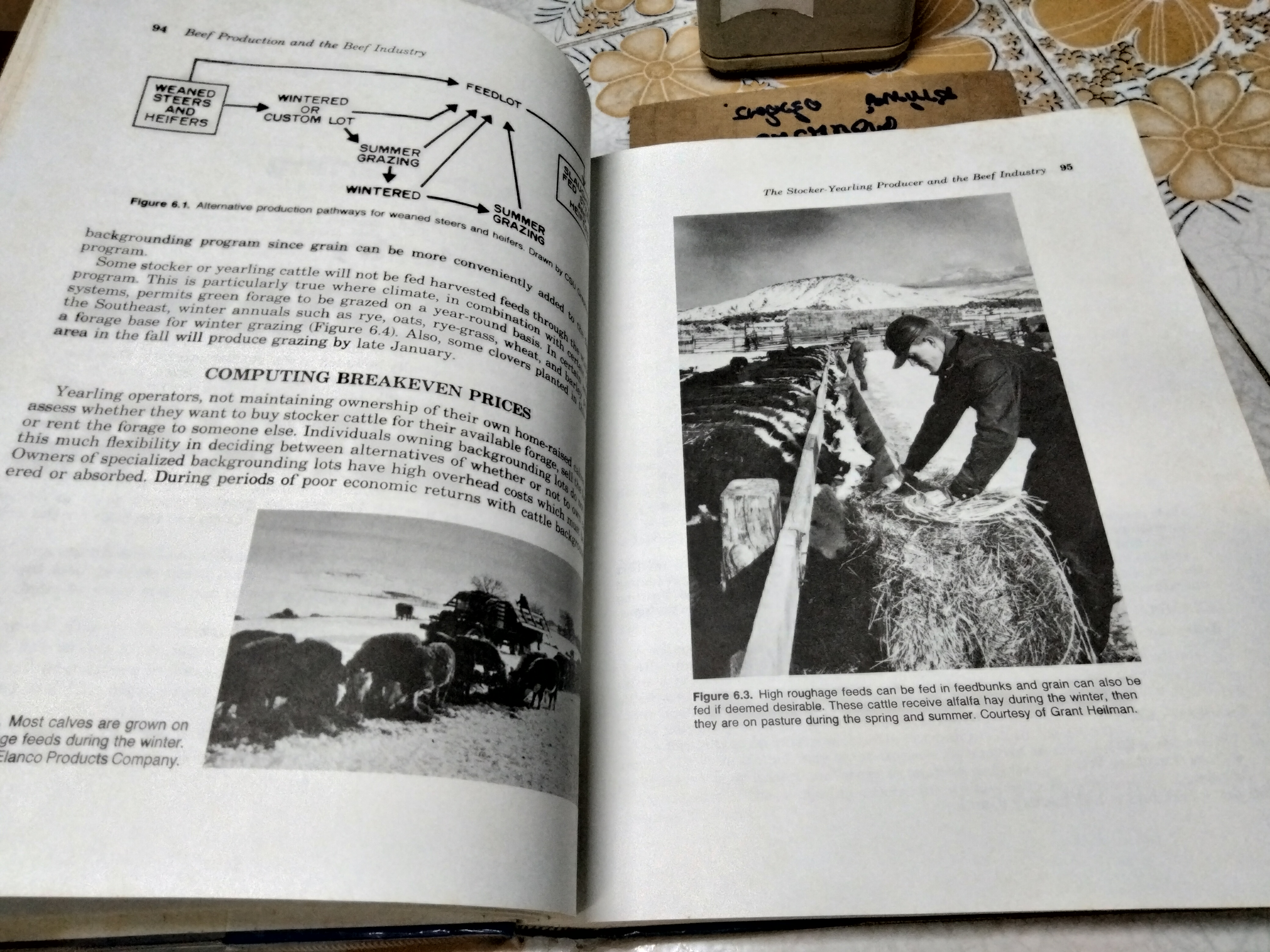 Beef Production and the Beef Industry A Beef Producer's Perspective. Robert E. Taylor