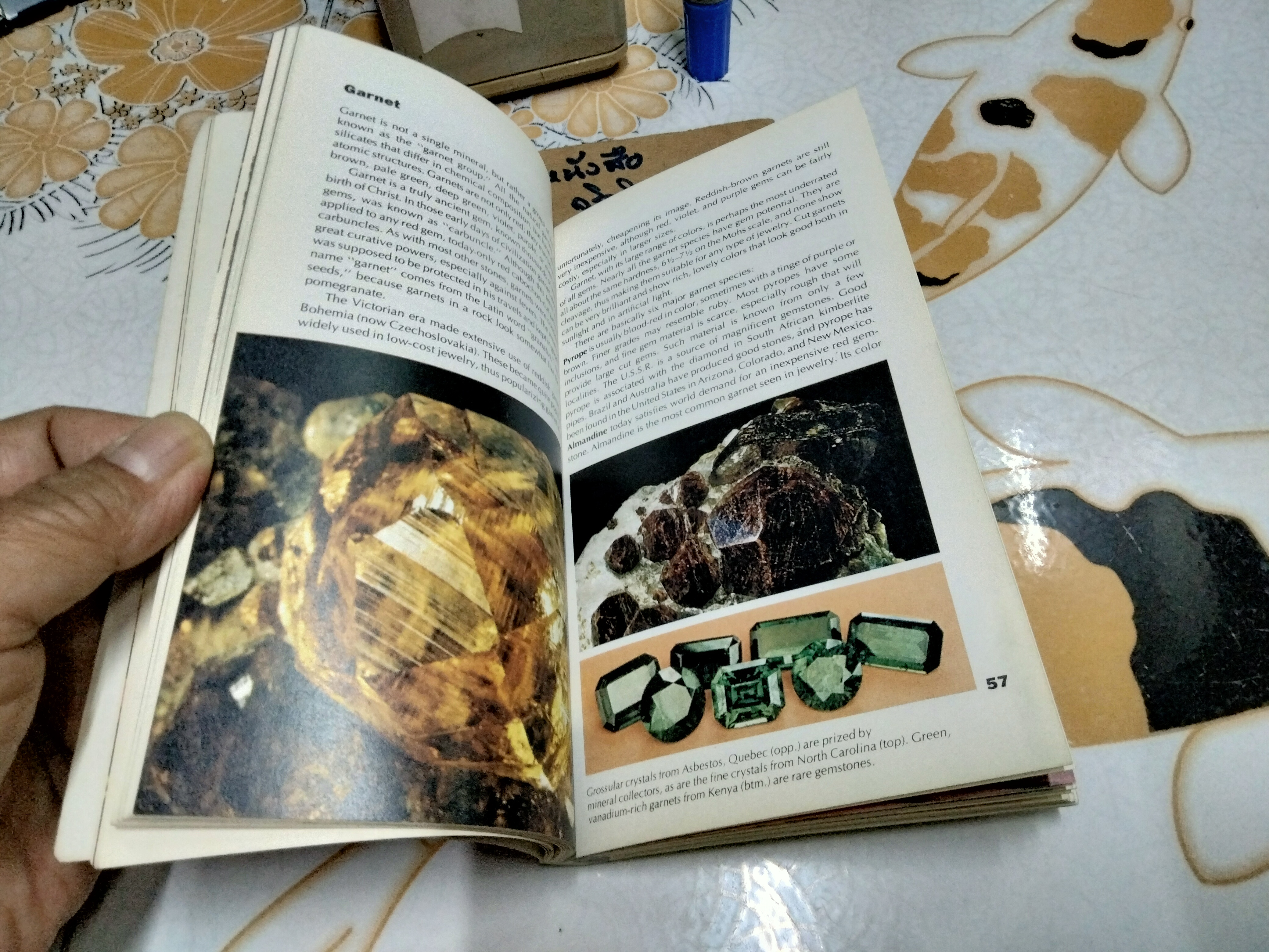 Gems and Jewelry by Joel Arem , 1984