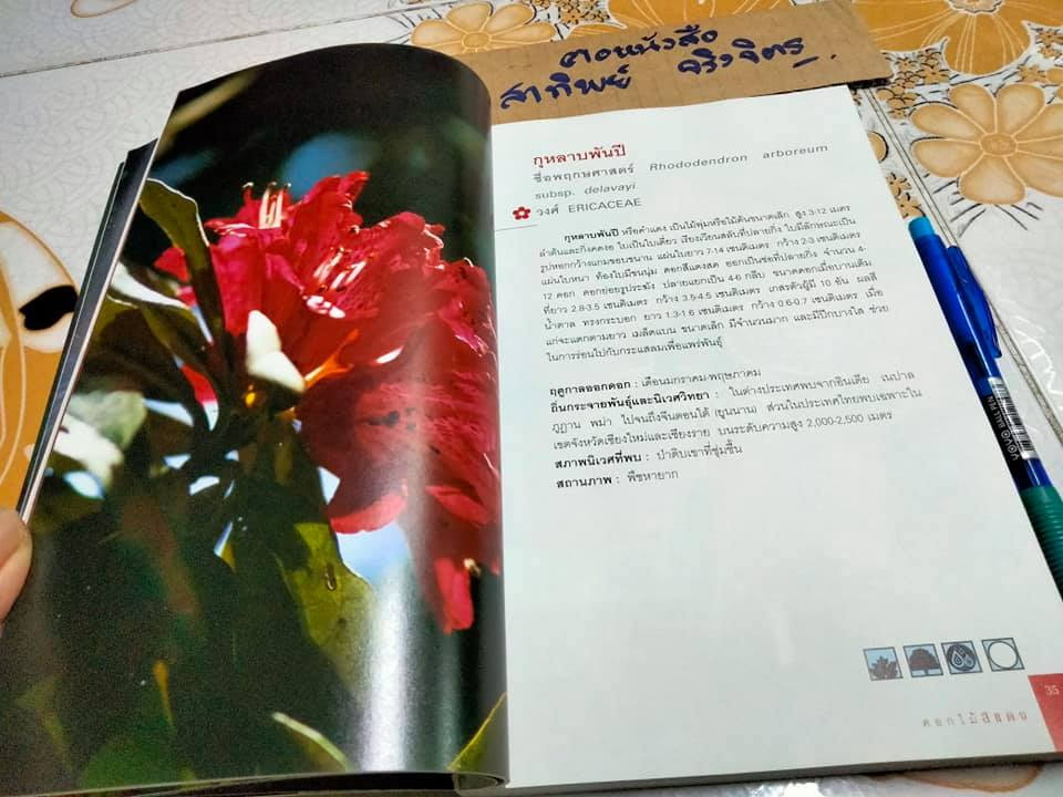 มหัศจรรย์ดอกไม้ป่า เล่ม 1 - ชาธร สิทธิเคหภาค