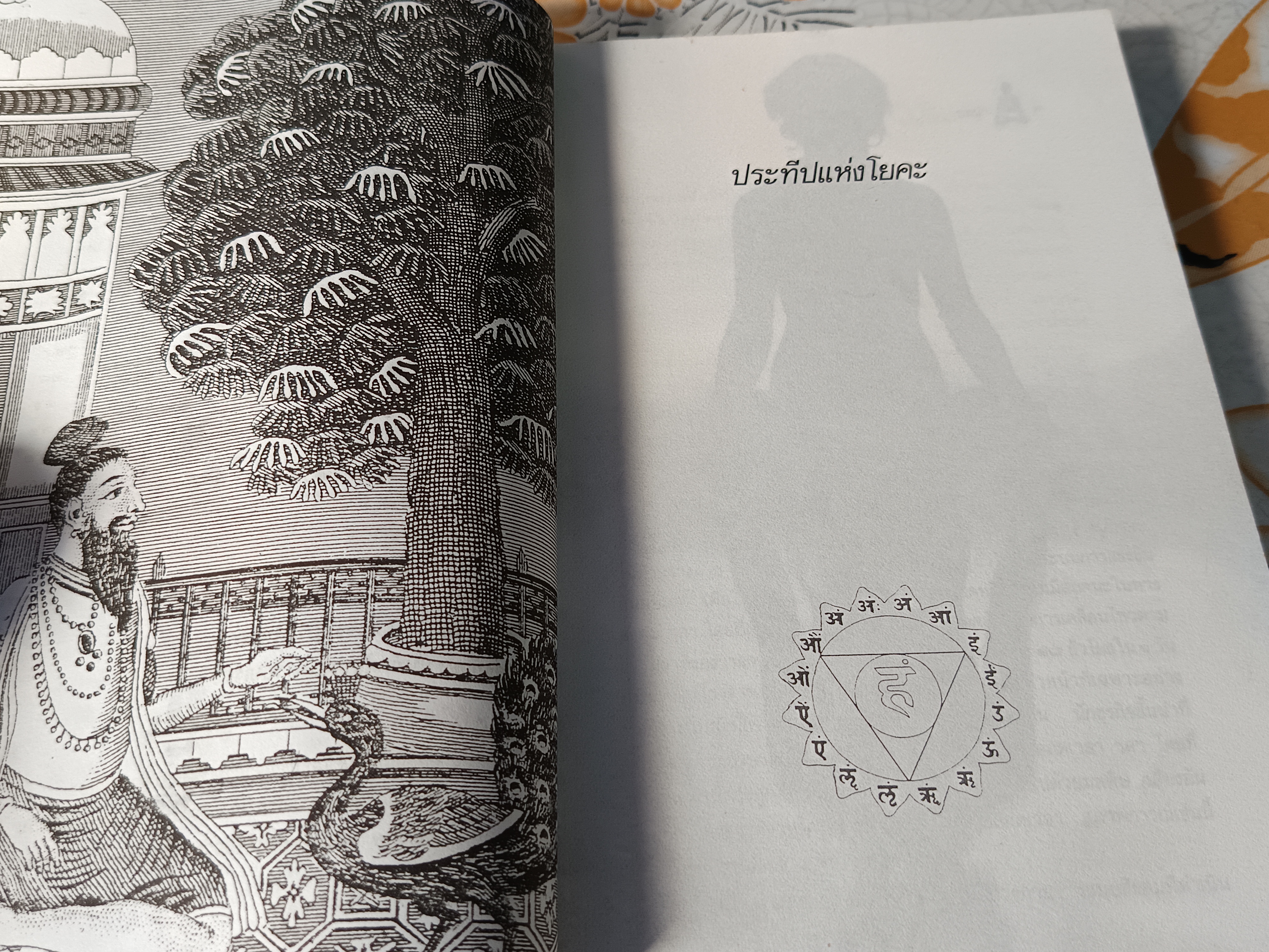 ประทีปแห่งโยคะ : คู่มือการปฏิบัติด้วยตนเอง เอกไชย พรรณเชษฐ์ แปลและเรียบเรียง พิมพ์ 3/2536 สำนักพิมพ์มูลนิธิโกมลคีมทอง