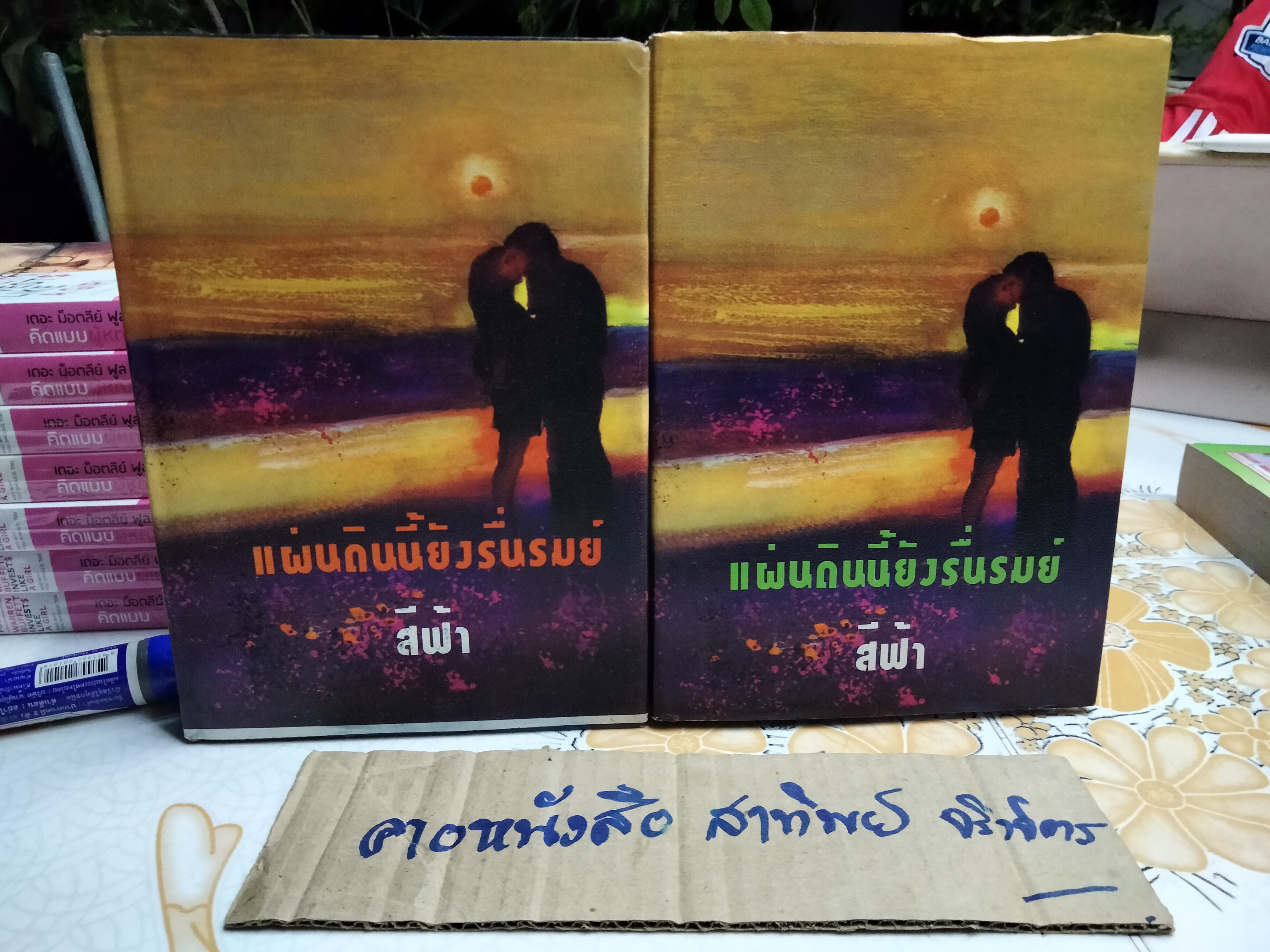 แผ่นดินนี้ยังรื่นรมย์ (2 เล่มจบ) - สีฟ้า **สินค้าหมด**
