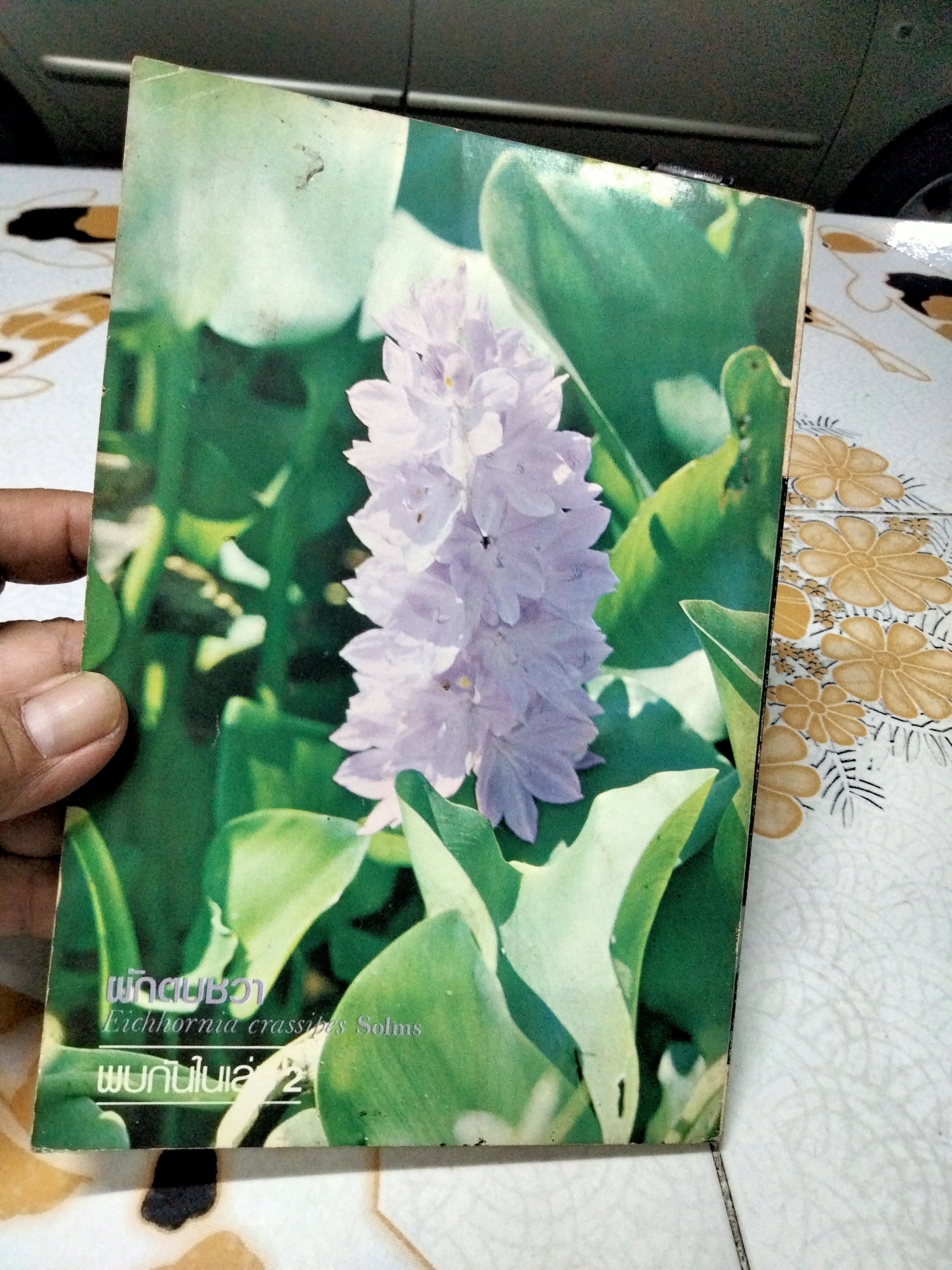 หนังสือ การใช้สมุนไพรเล่ม 1 โครงการพัฒนาเทคนิคการทำยาสมุนไพร ฉบับแก้ไข พ.ศ.2522