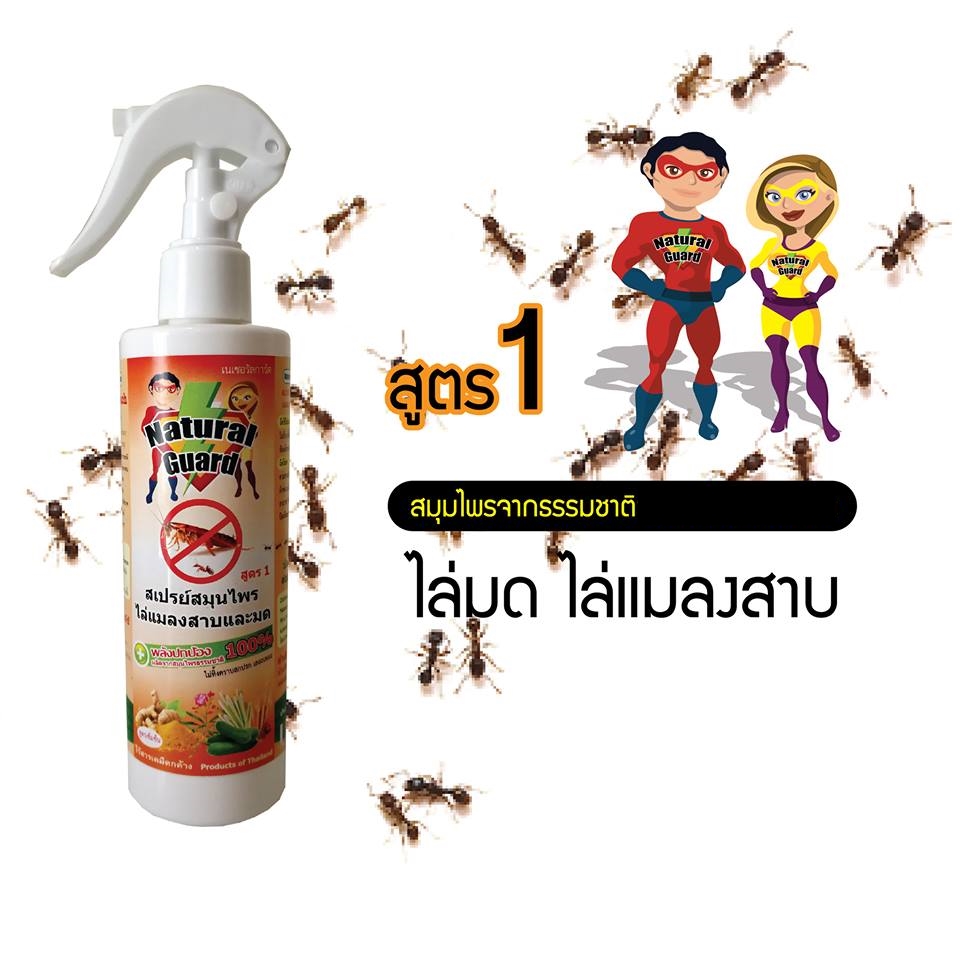 สเปรย์สมุนไพรไล่แมลงสาบและมด