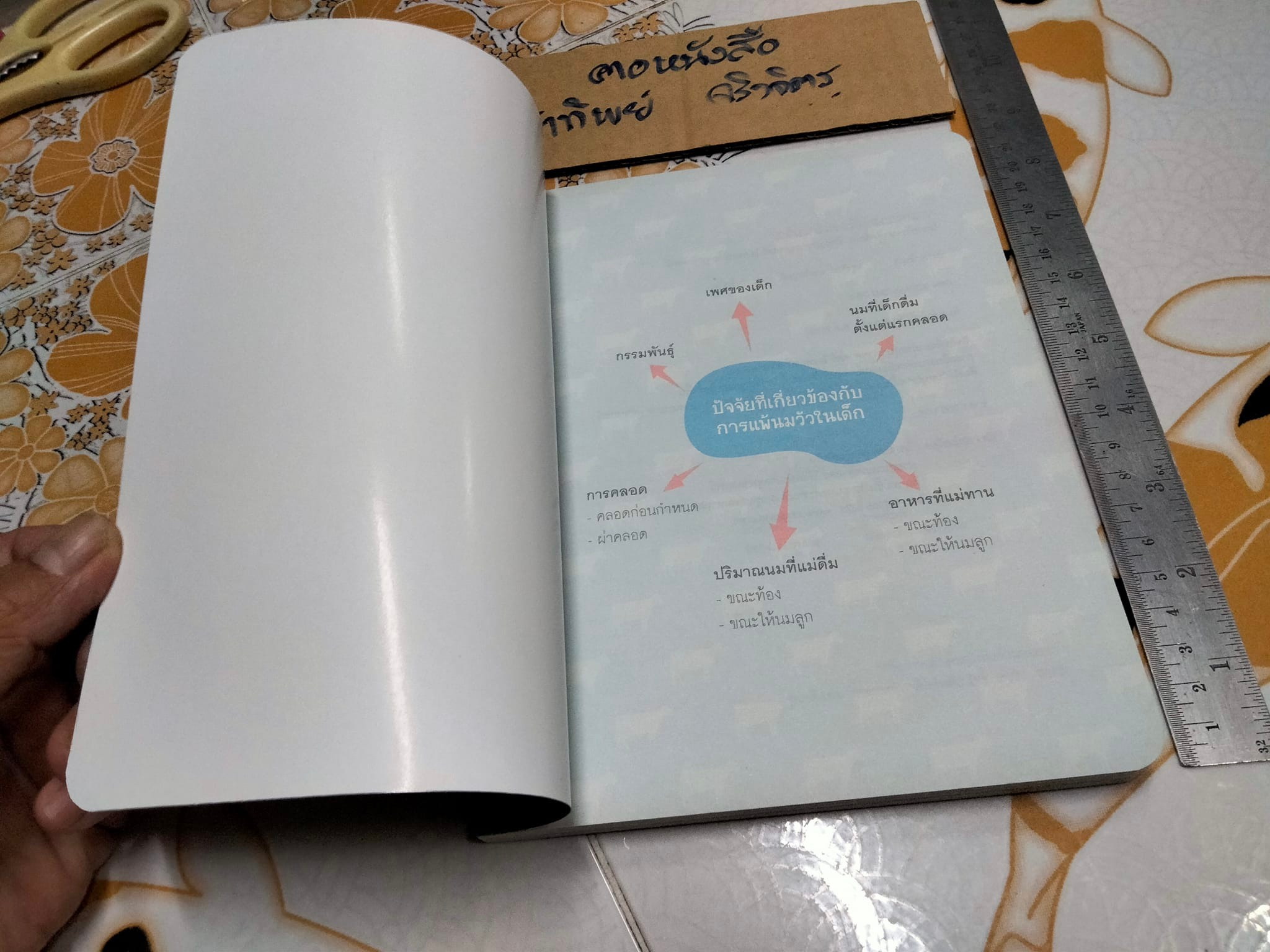 รวมความรู้เรื่องแพ้นมวัว รองศาสตราจารย์ แพทย์หญิงจรุงจิตร์ งามไพบูลย์ **สินค้าหมด**