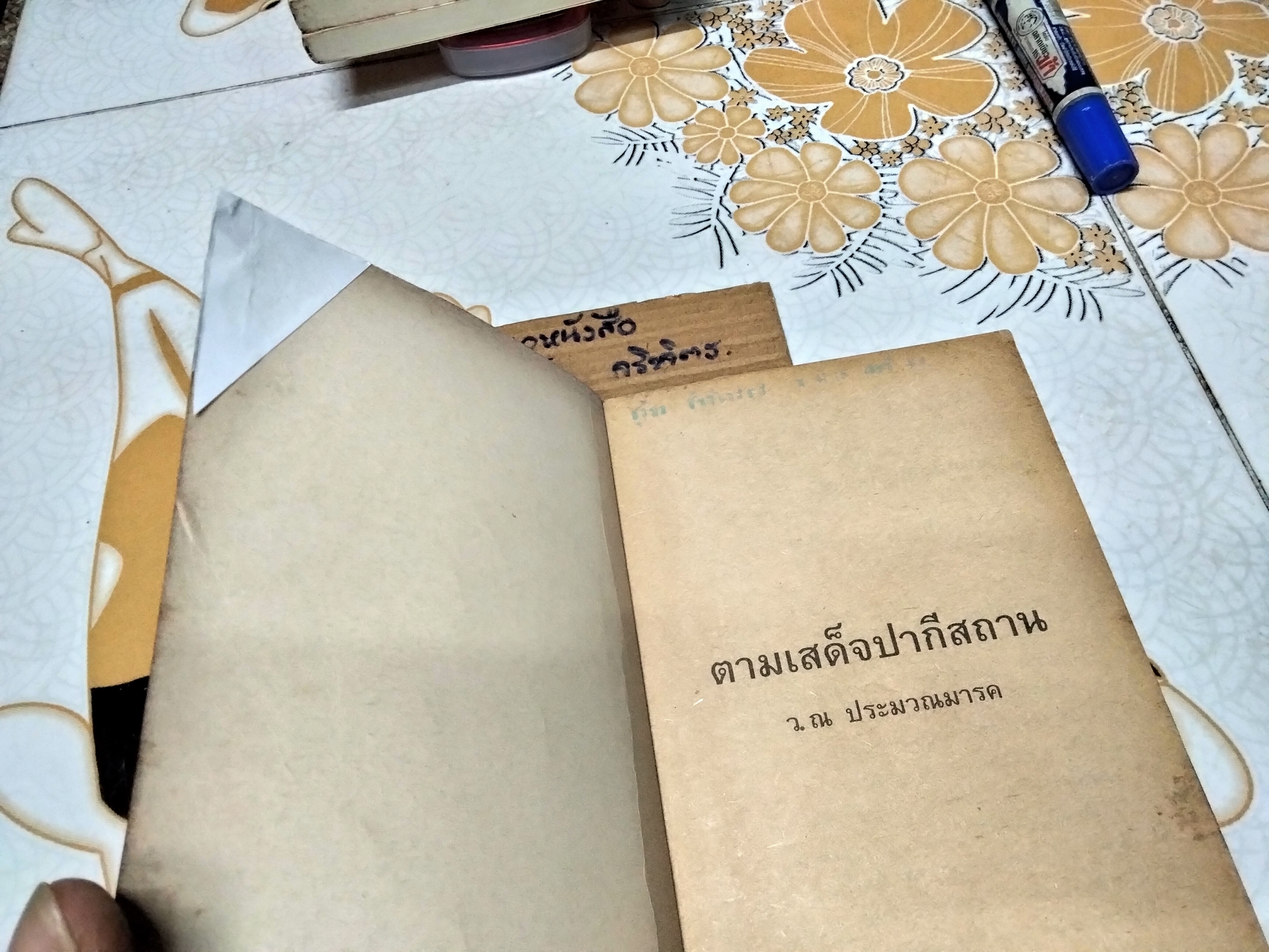 ตามเสด็จปากีสถาน โดย หม่อมเจ้าวิภาวดีรังสิต