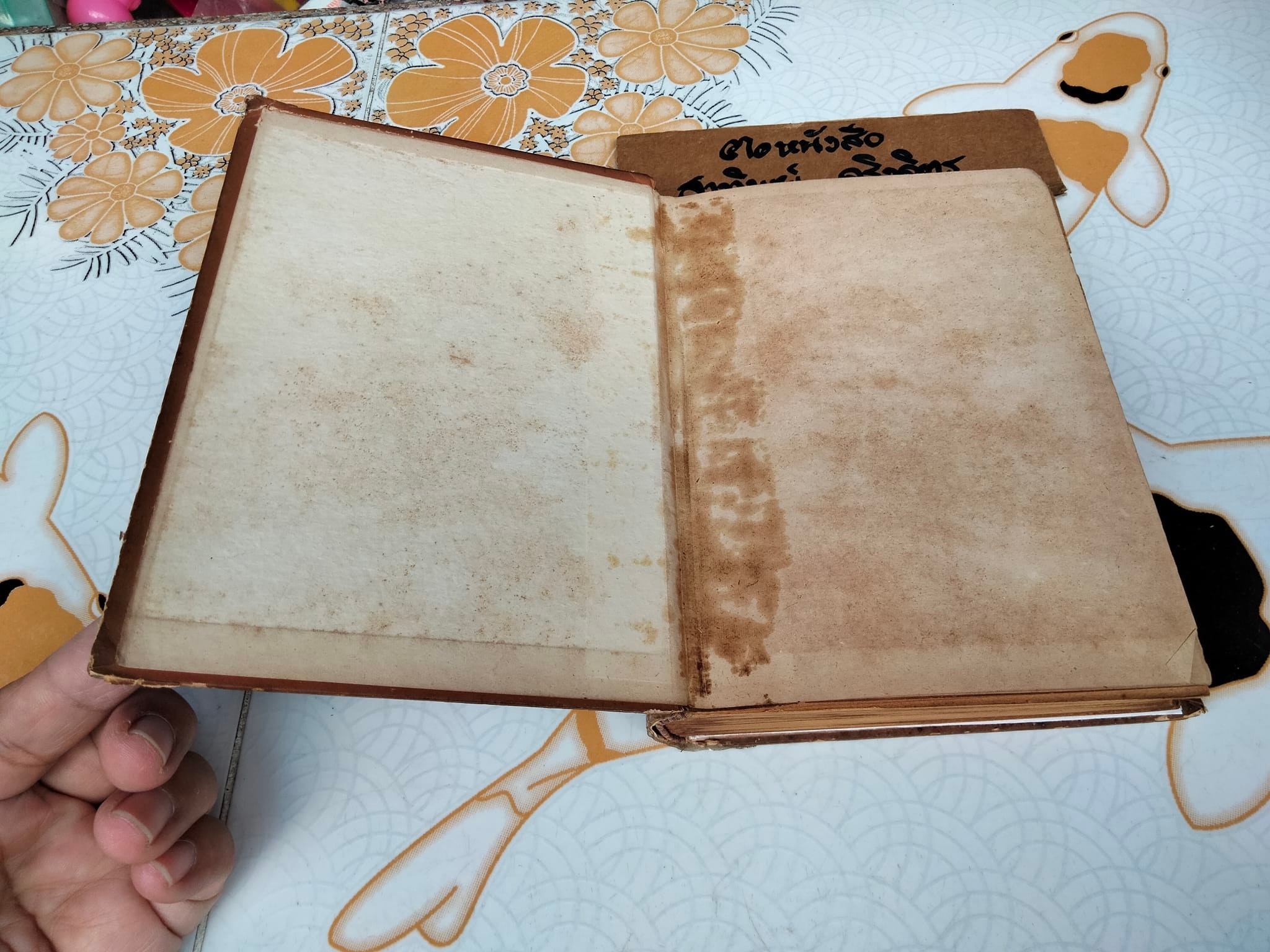 A School Geometry by HALL - STEVENS (ฉบับภาษาไทย) แปลโดย บุญพฤกษ์ จาฏามระ และ คณิต มีสมมนต์ **สินค้าหมด**