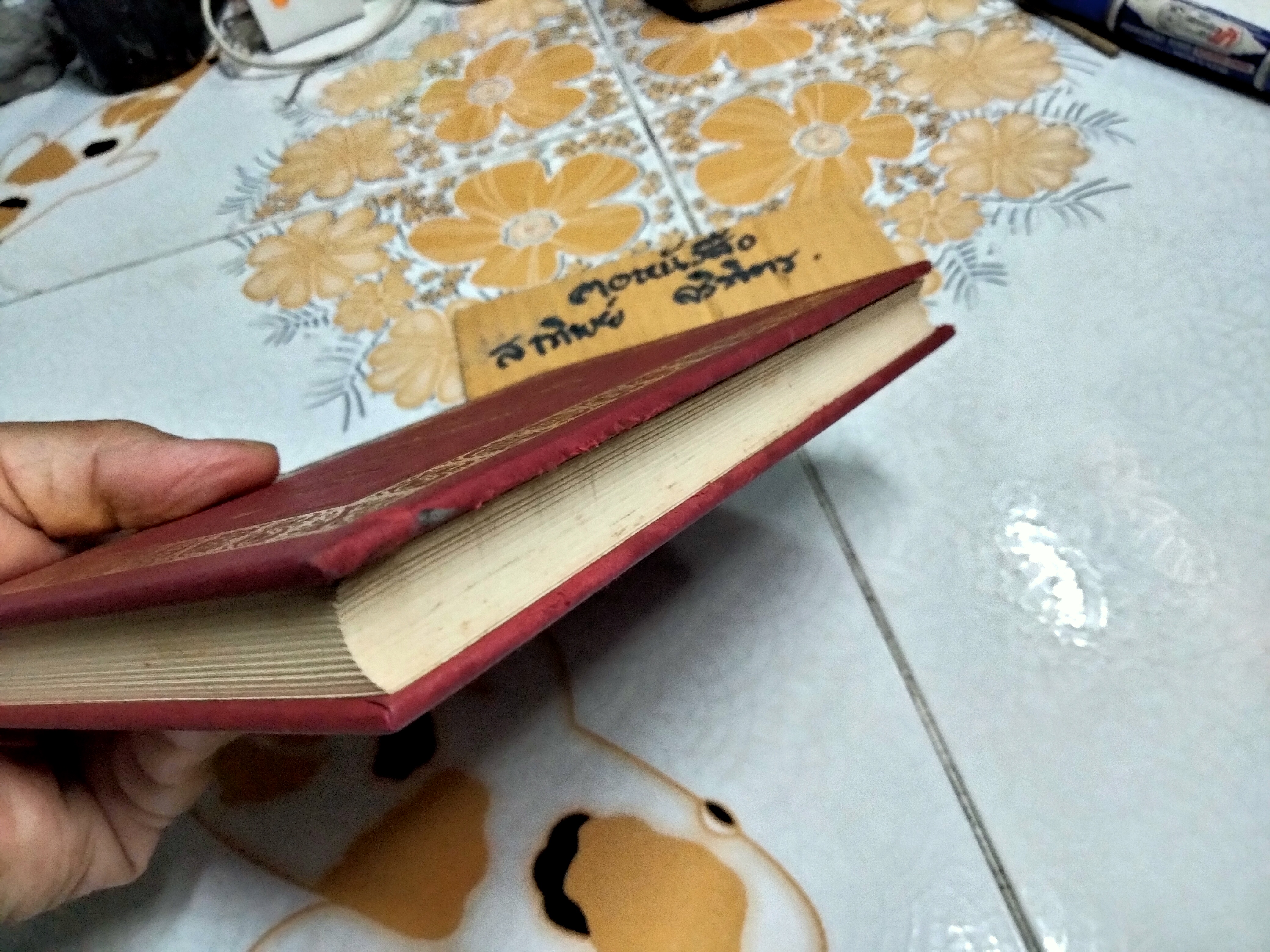 ชุดประดาน้ำและผีเสื้อ (Le Scaphandre et Le papillion) ฌ็อง-โดมินิก โบบี้ เขียน - วัลยา วิวัฒน์ศร แปลจากภาษาฝรั่งเศส ,พิมพ์ 2/2541 **สินค้าหมด**