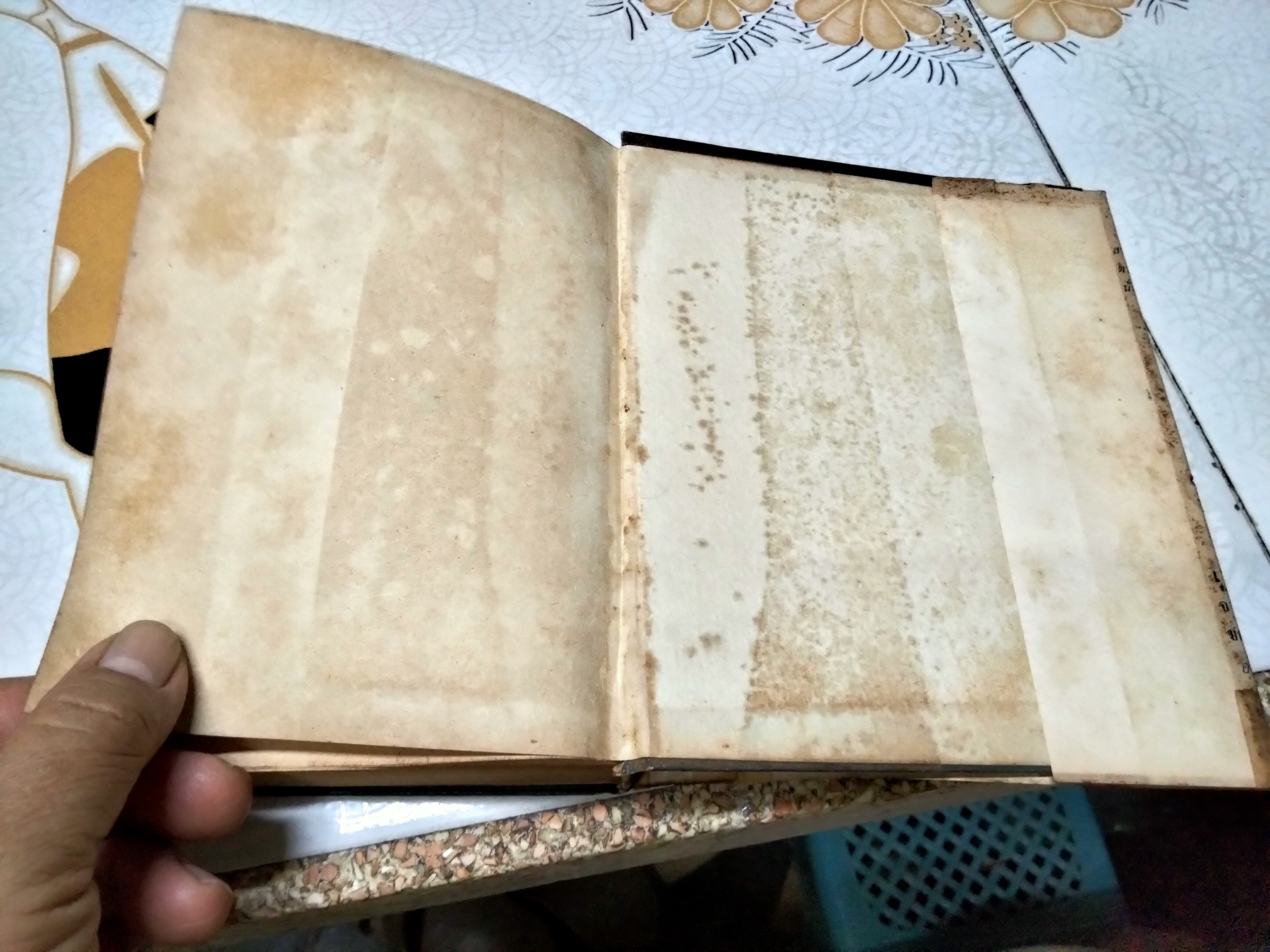 ตำราอาหารนานาชาติ โดย อ.นงลักษณ์ กาญจนสถิตย์ (ชุดอาหารนานาชาติ) **สินค้าหมด**